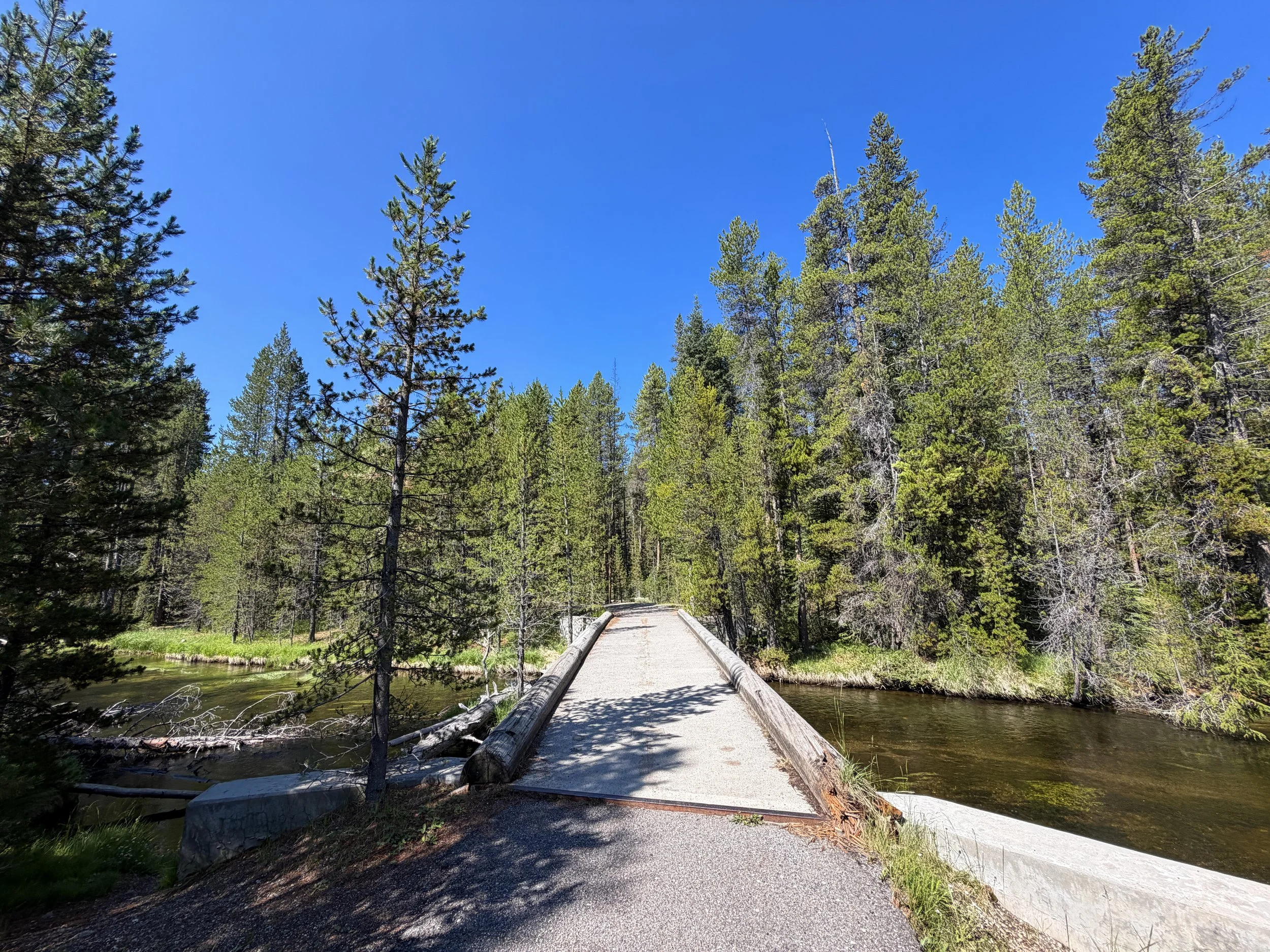 Lone Star Geyser Trail Yellowstone National Park Wyoming