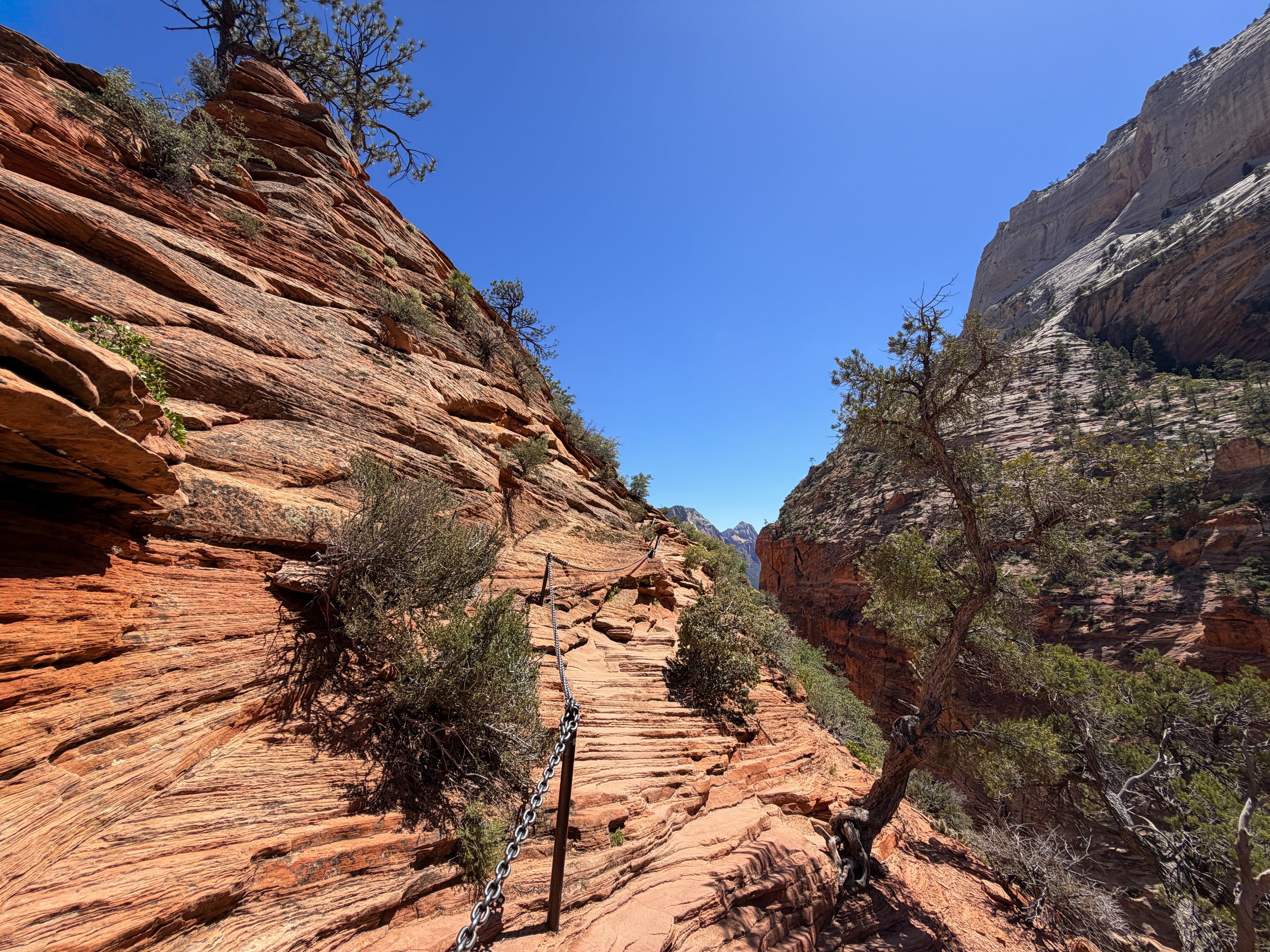 Angels Landing Trail Chains Zion National Park Utah