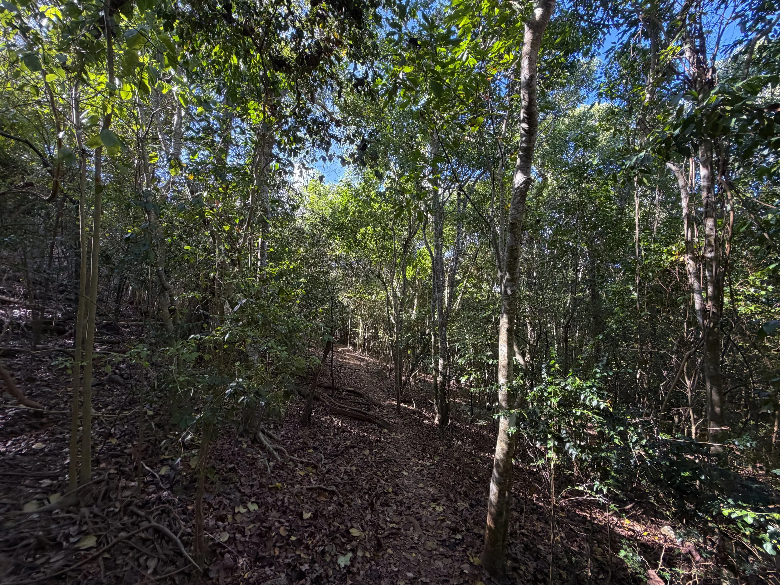 Denis Bay Trail to Oppenheimer Beach Virgin Islands National Park