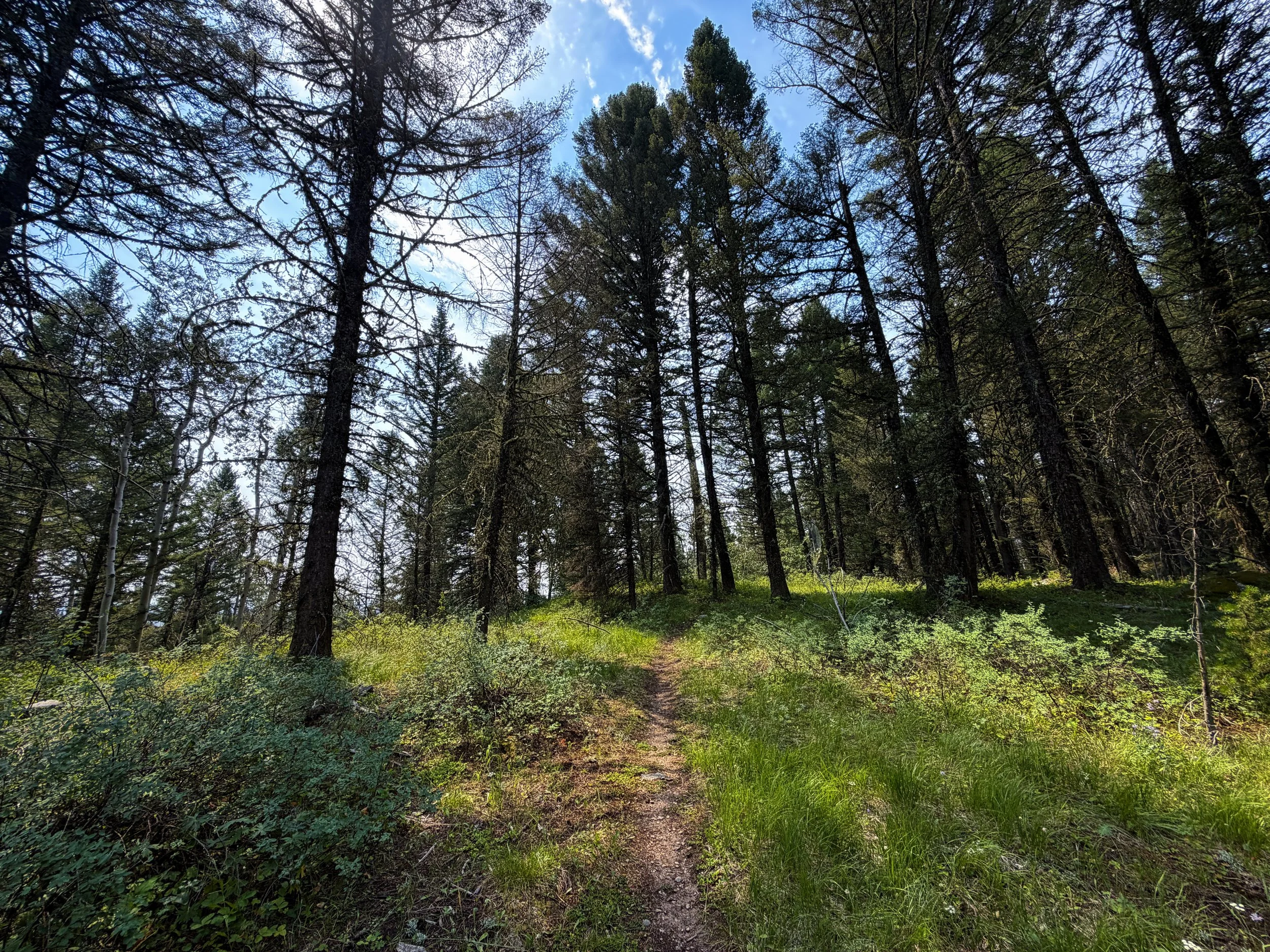 Boulder Ridge Trail Grand Teton National Park Wyoming