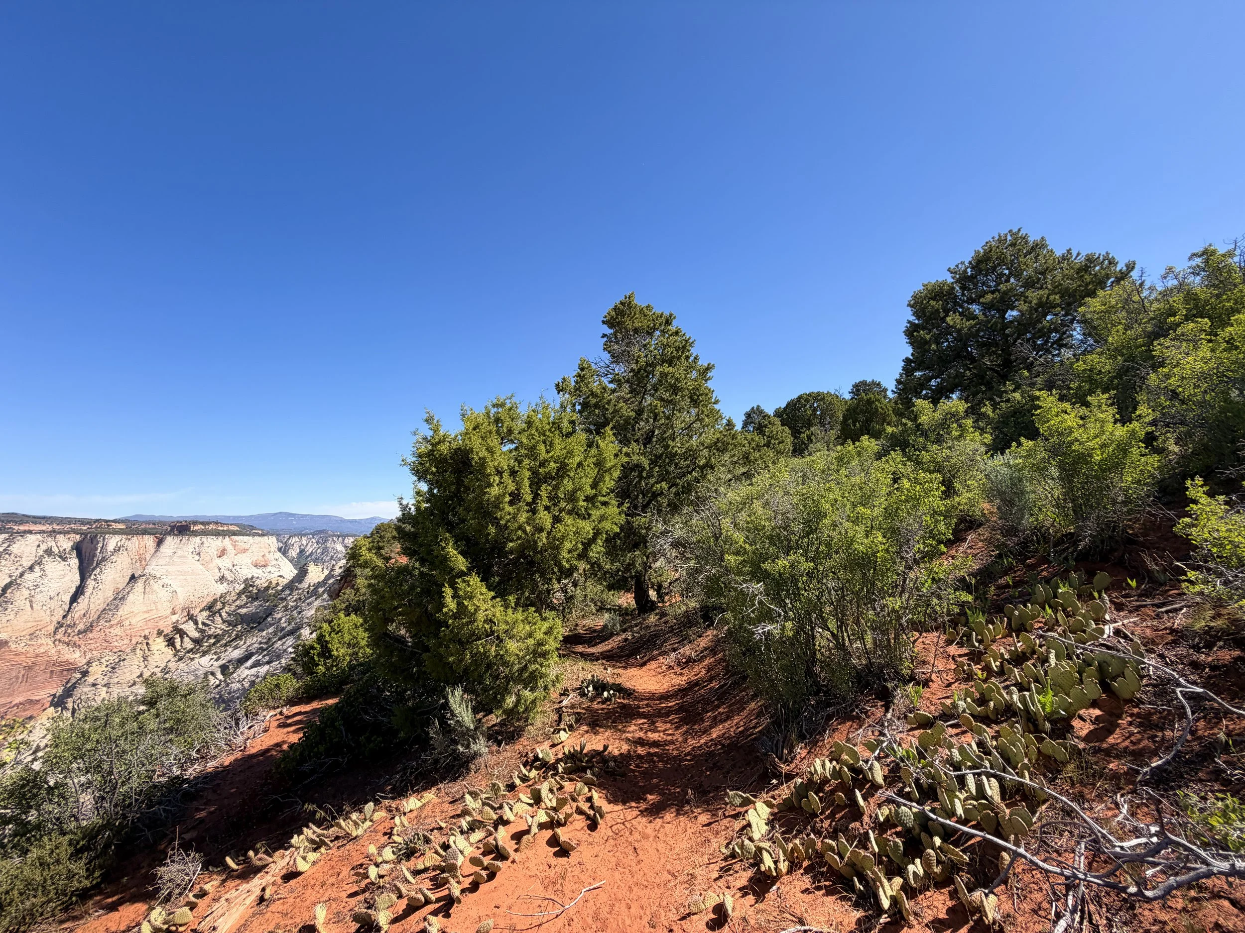 Deertrap Mountain Trail Zion National Park Utah