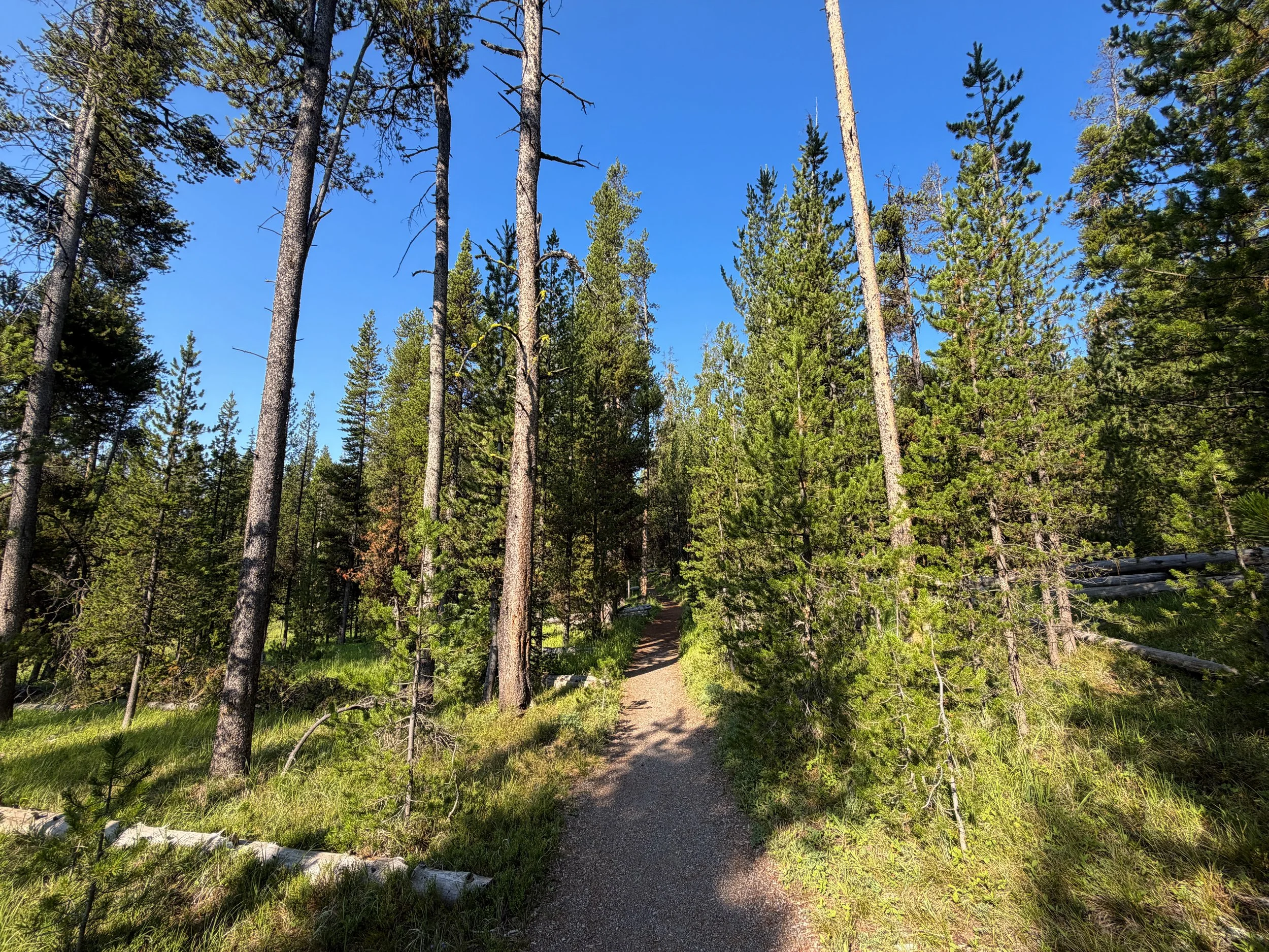 Natural Bridge Trail Yellowstone National Park Wyoming