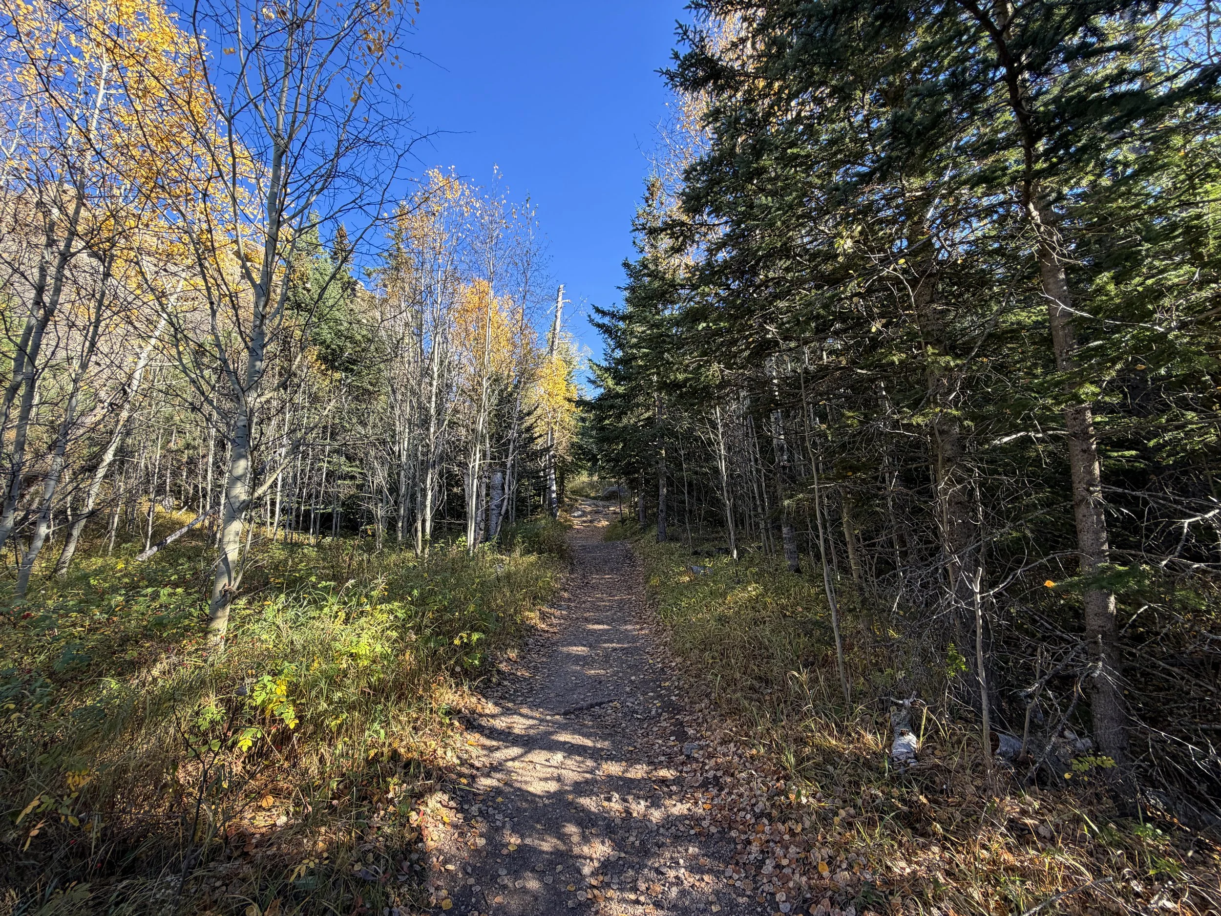 Little Devils Tower Hike Custer State Park Black Hills South Dakota