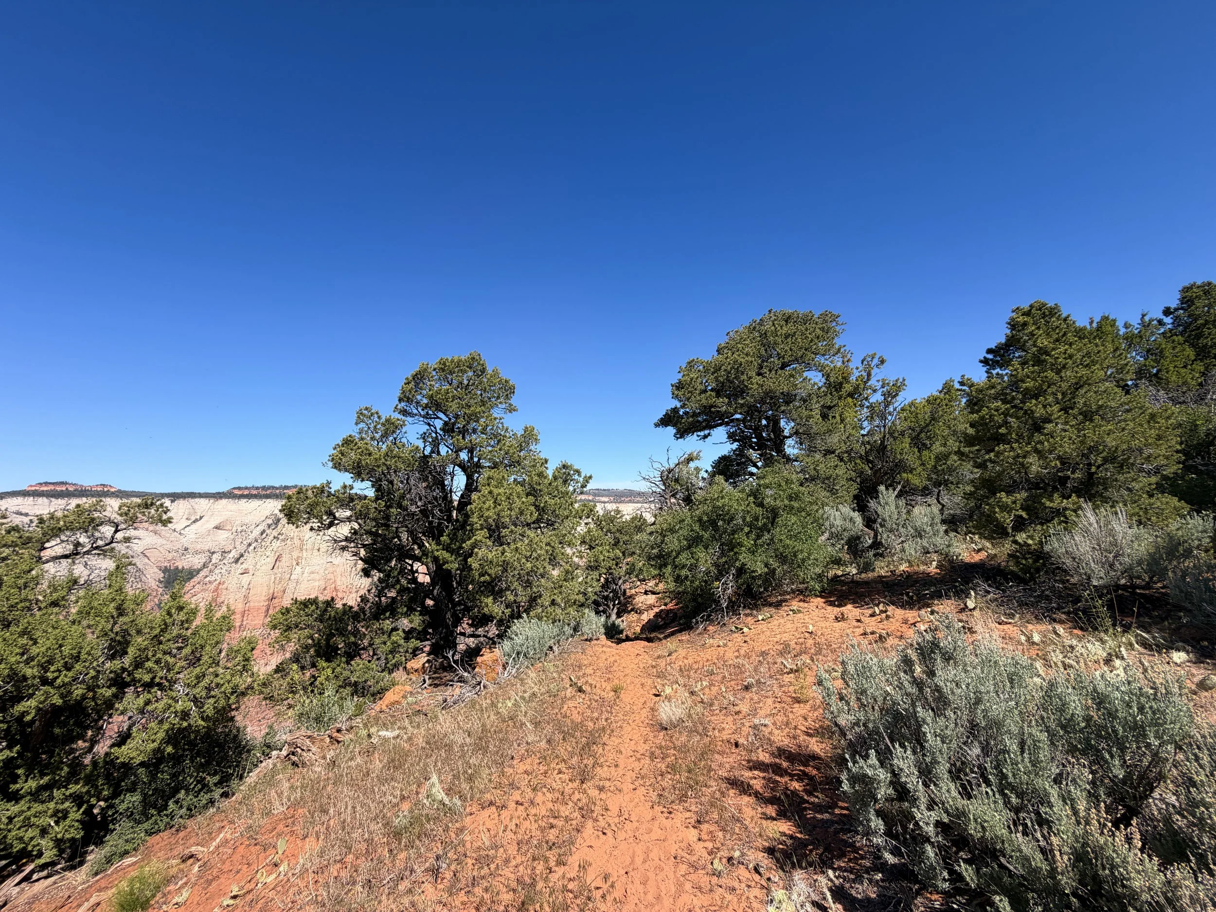 Deertrap Mountain Trail Zion National Park Utah