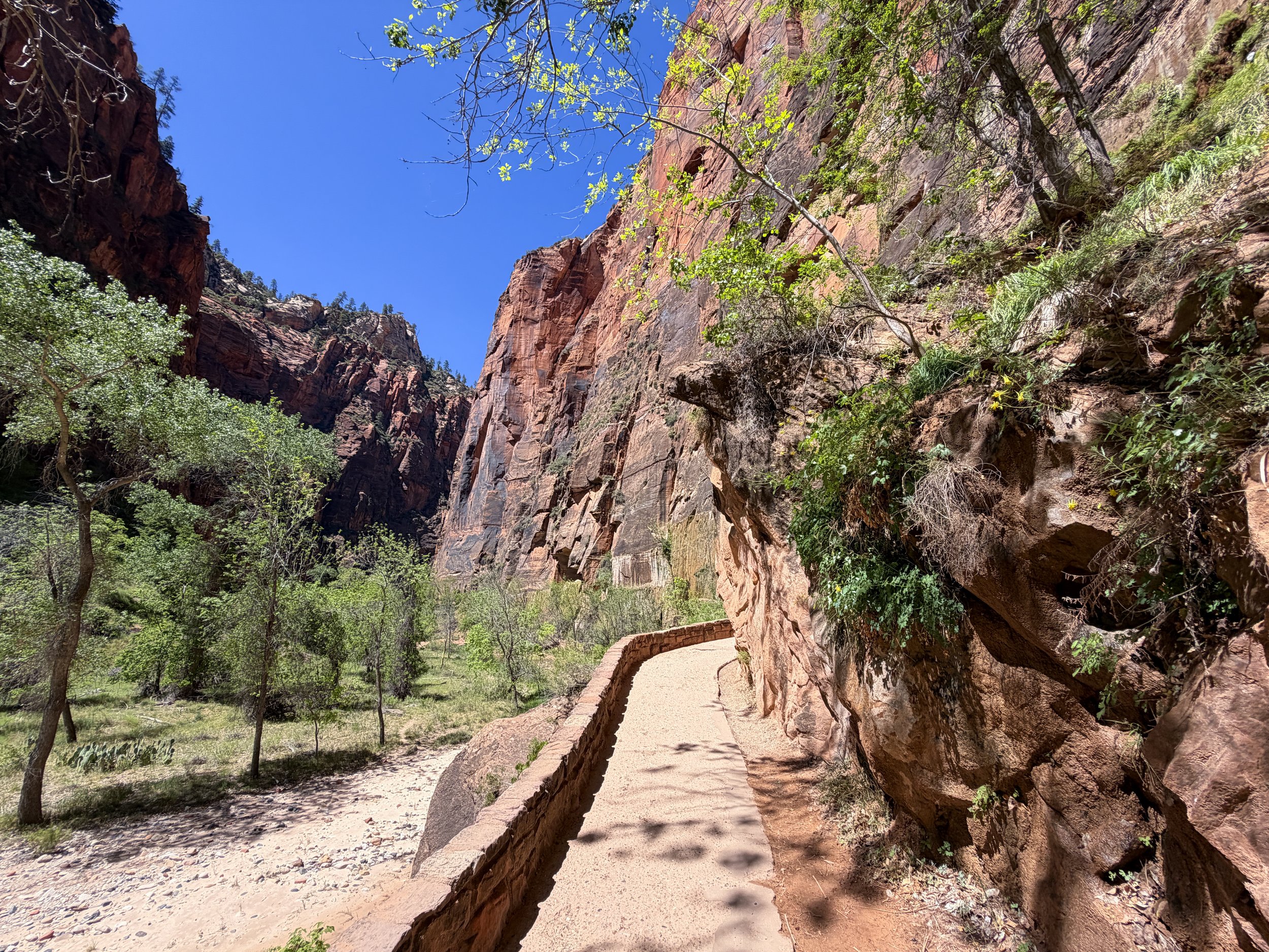 Riverside Walk Hike Zion National Park Utah