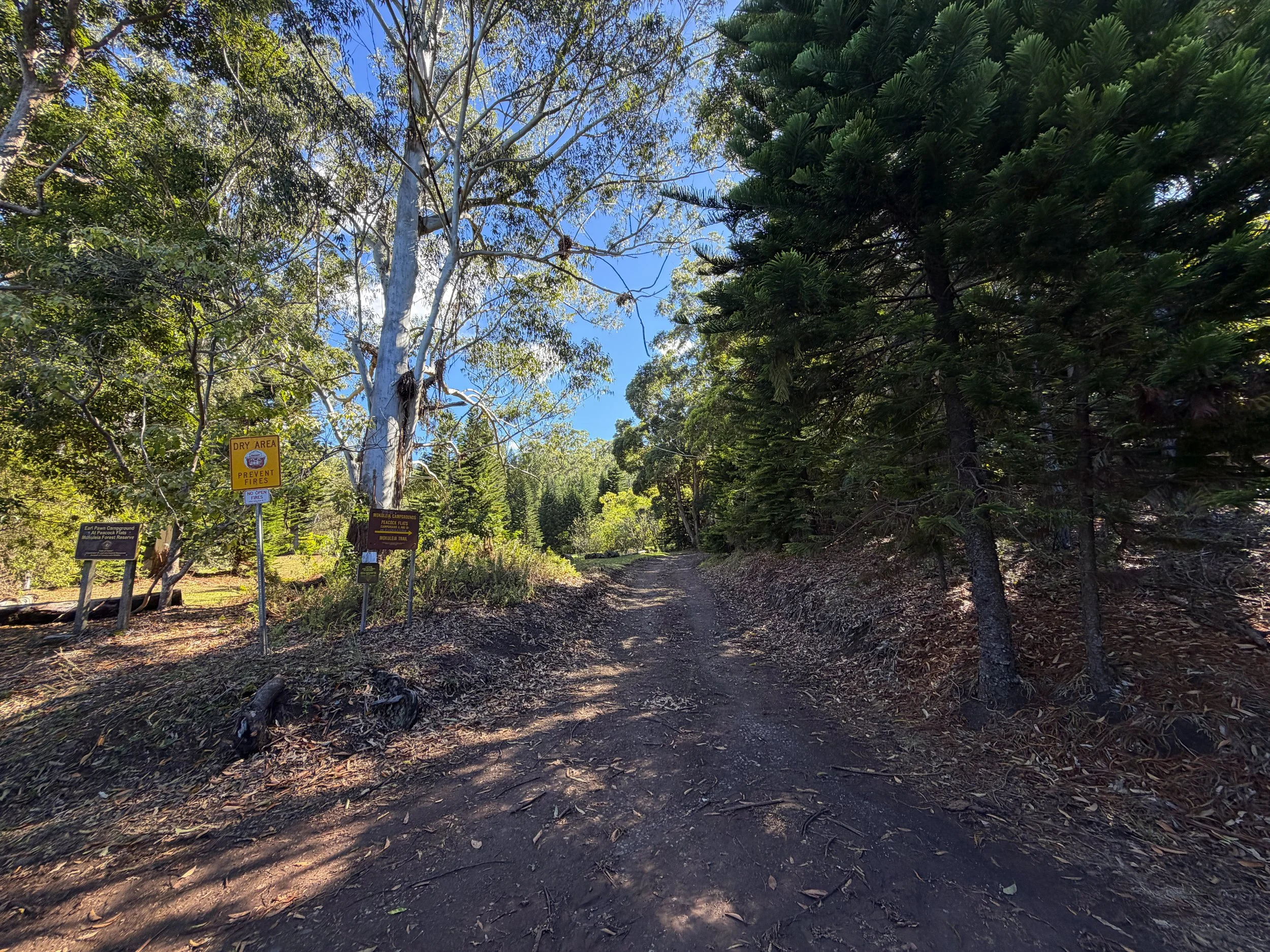 Peacock Flats to Mokuleia Trail Oahu Hawaii