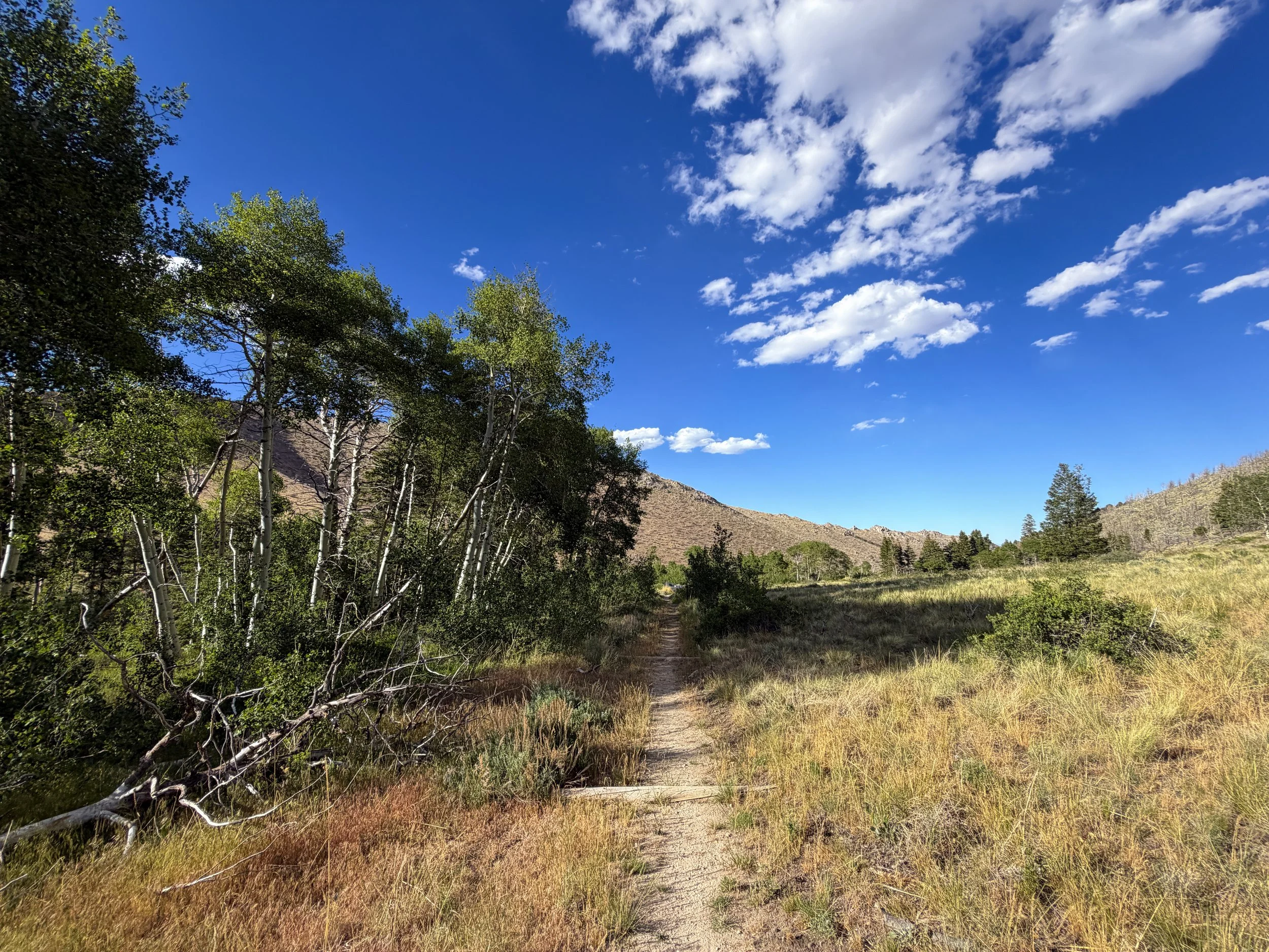 Sage Steppe Loop Trail Great Basin National Park Nevada