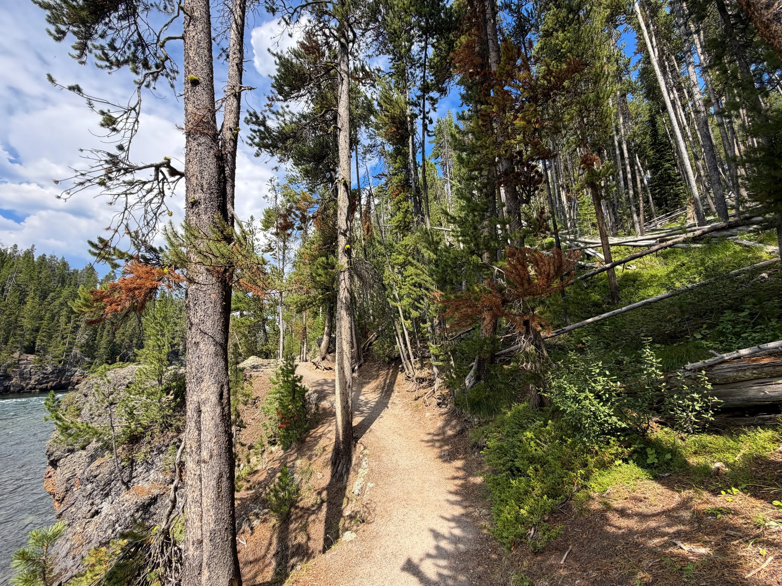South Rim Trail Yellowstone National Park Wyoming