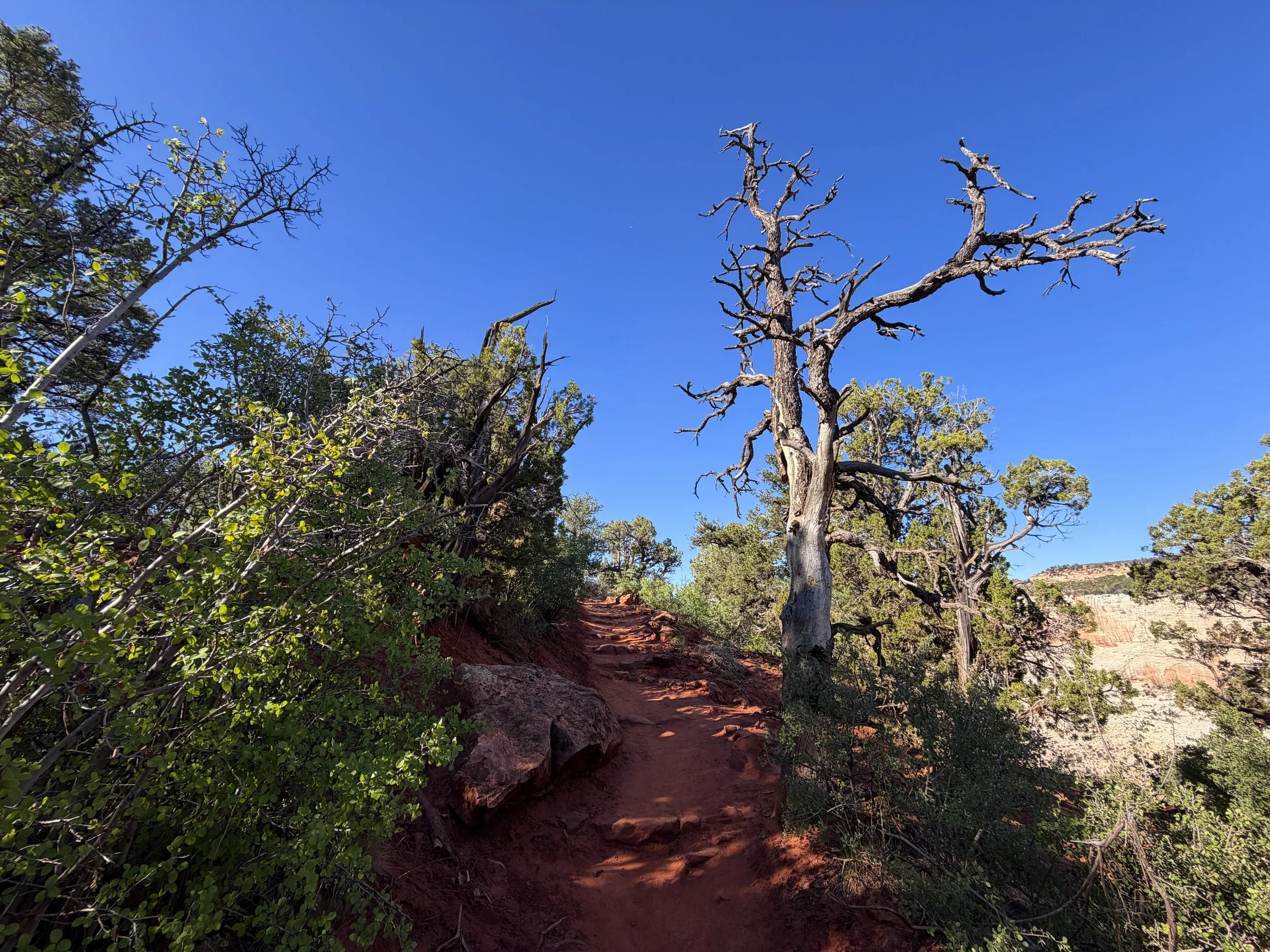 Observation Point Trail Zion National Park Utah