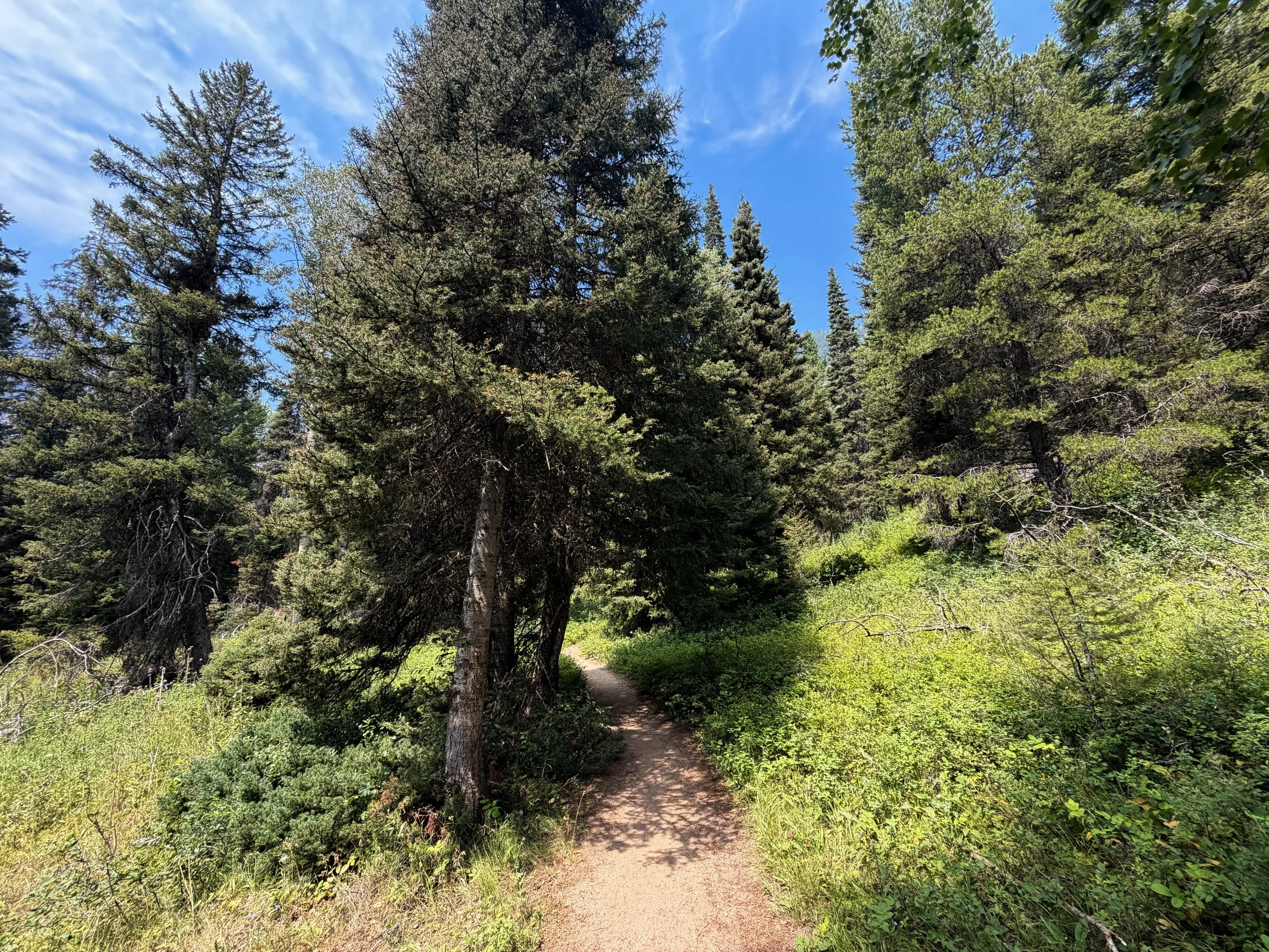 Phelps Lake Loop Trail Grand Teton National Park Wyoming