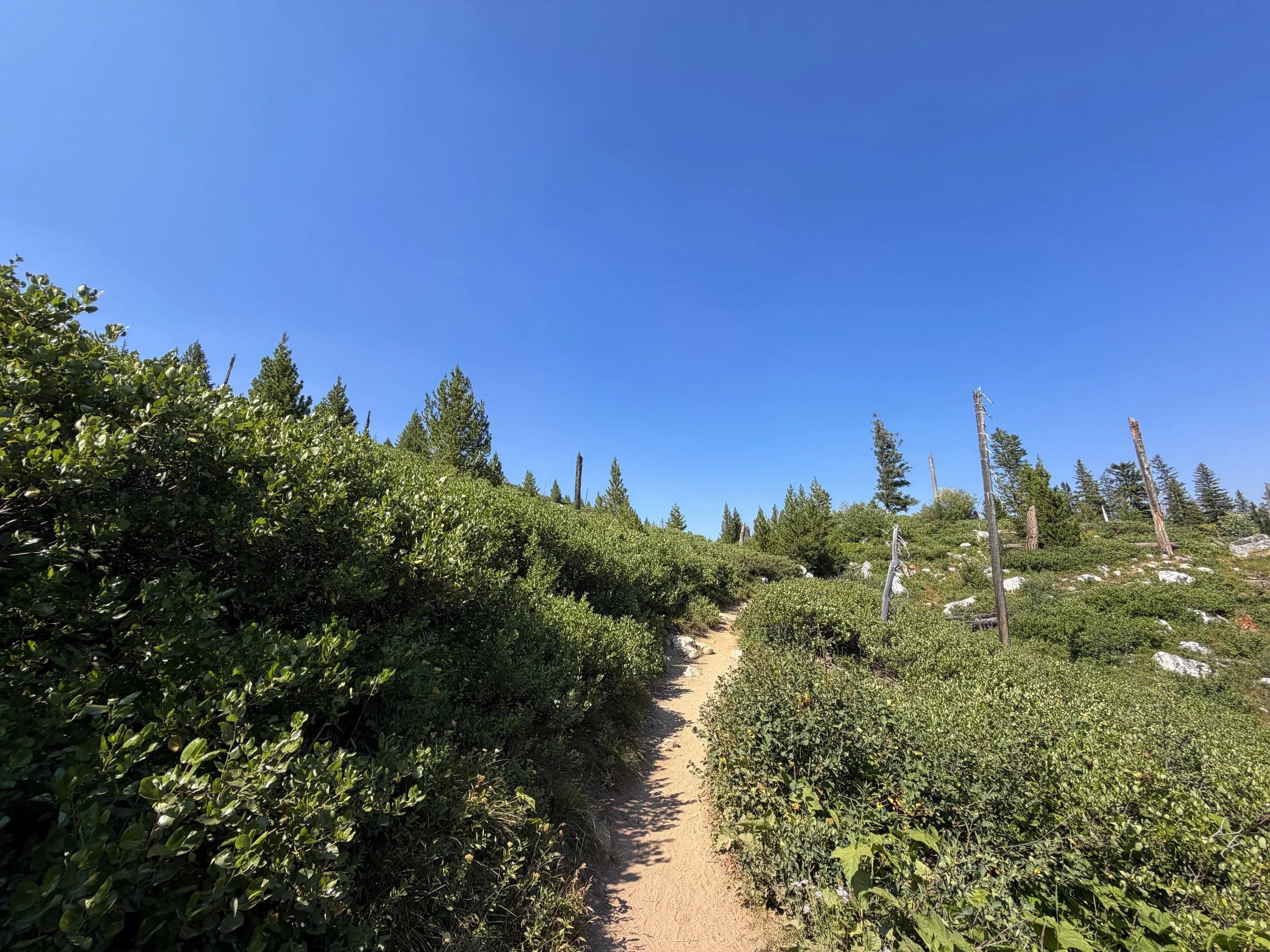 Jenny Lake Loop Trail Grand Teton National Park Wyoming
