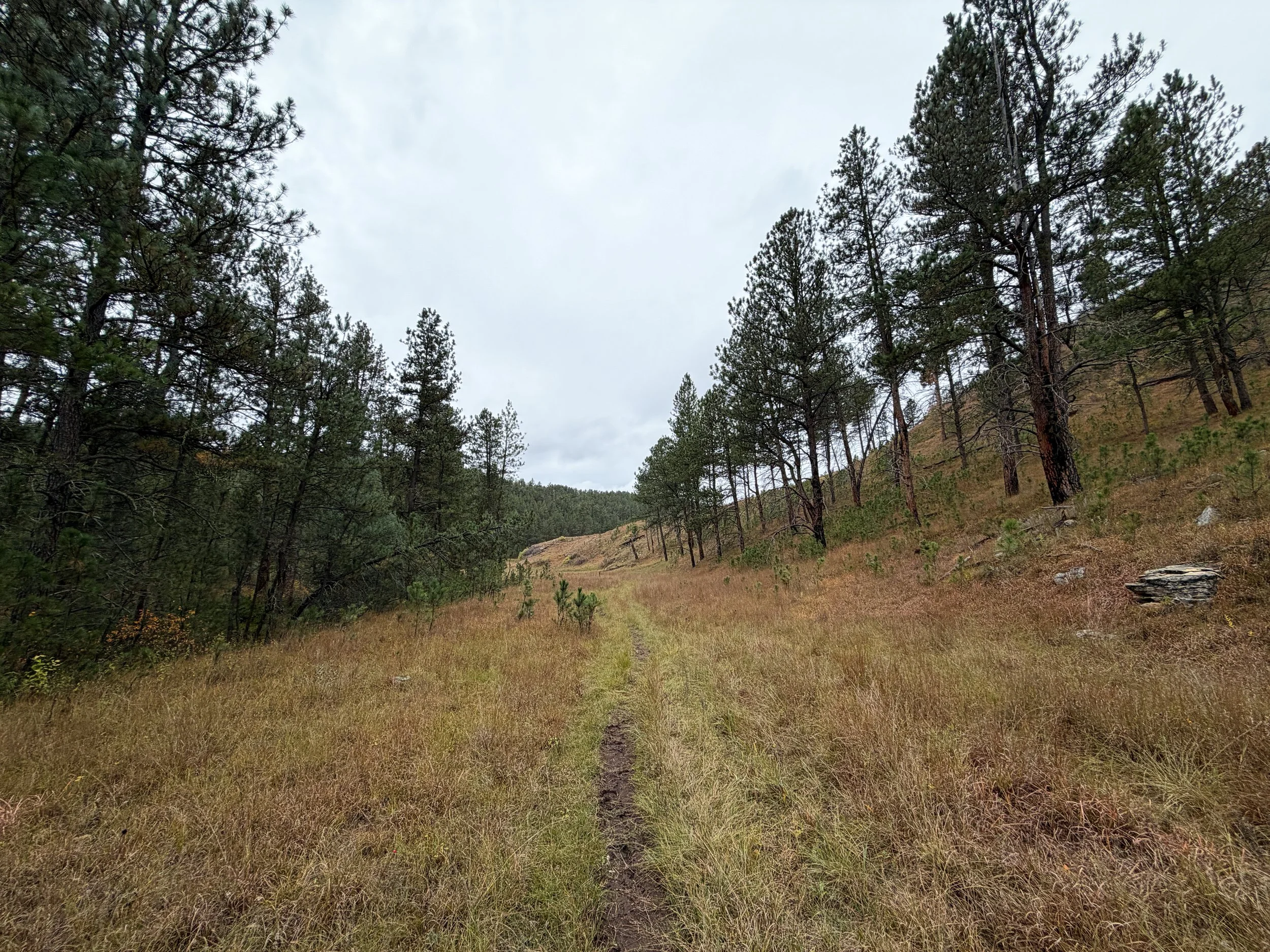Highland Creek Trail Wind Cave National Park South Dakota