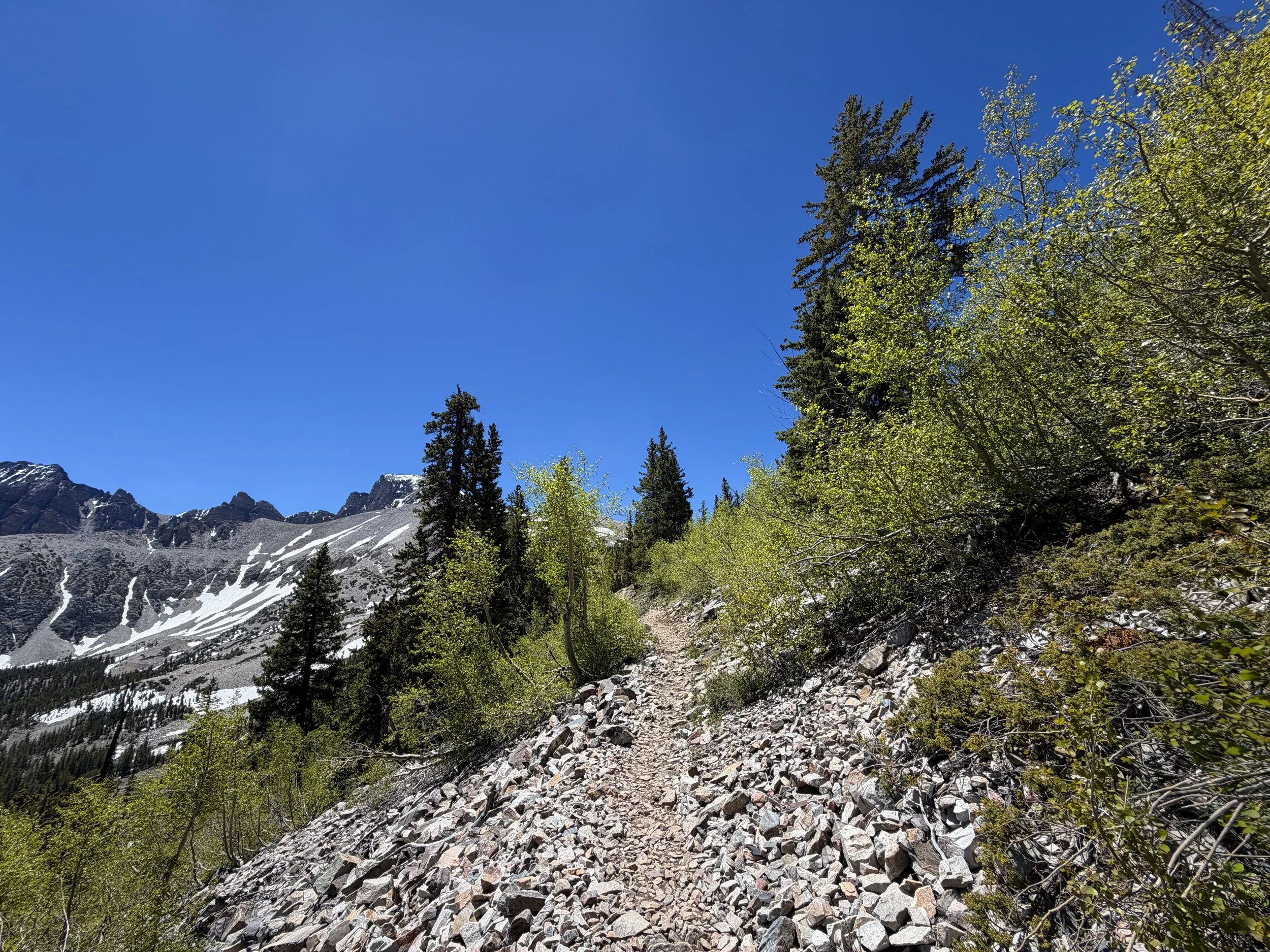 Wheeler Peak Summit Trail Great Basin National Park Nevada