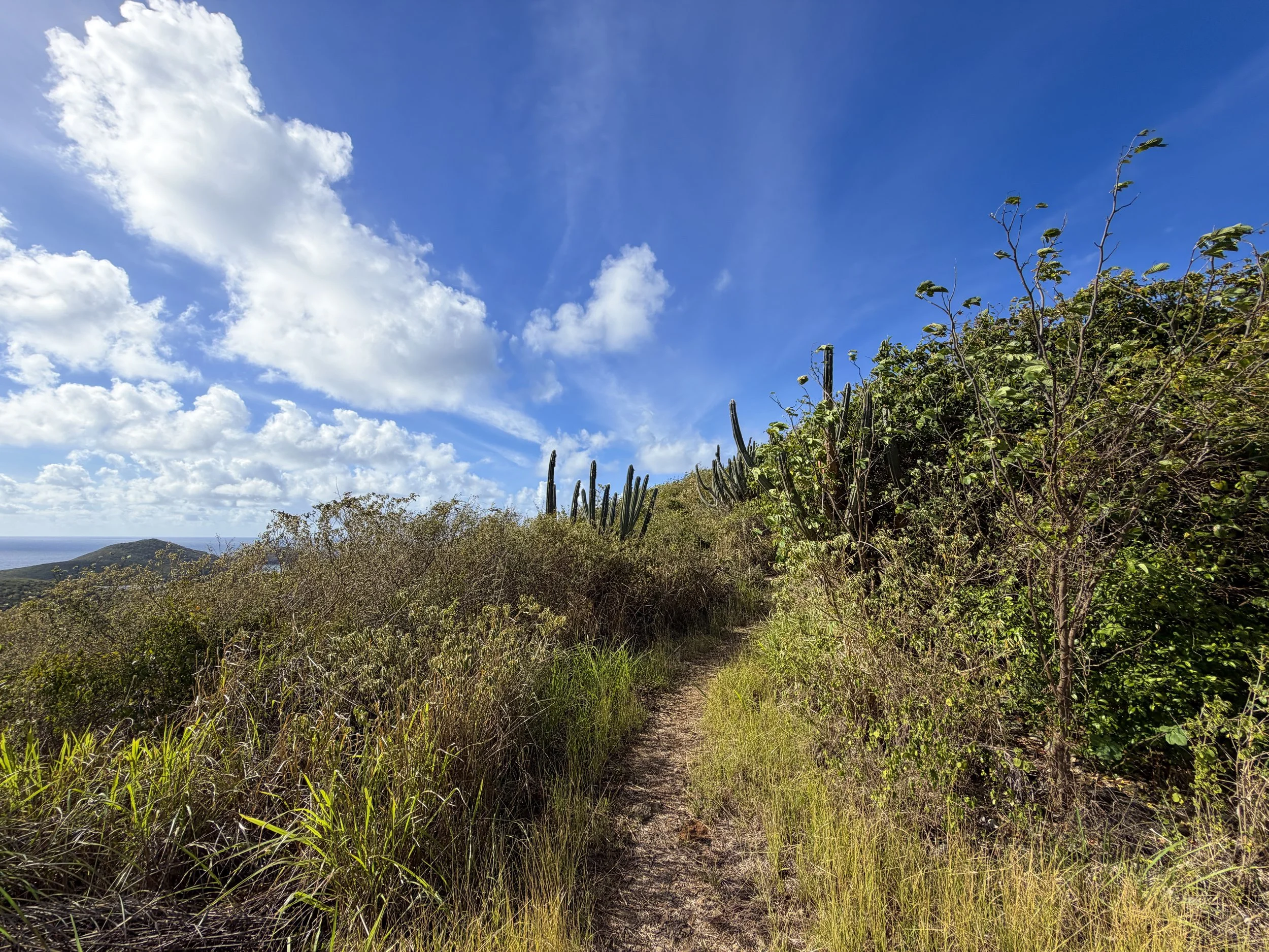Tektite Trail Virgin Islands National Park