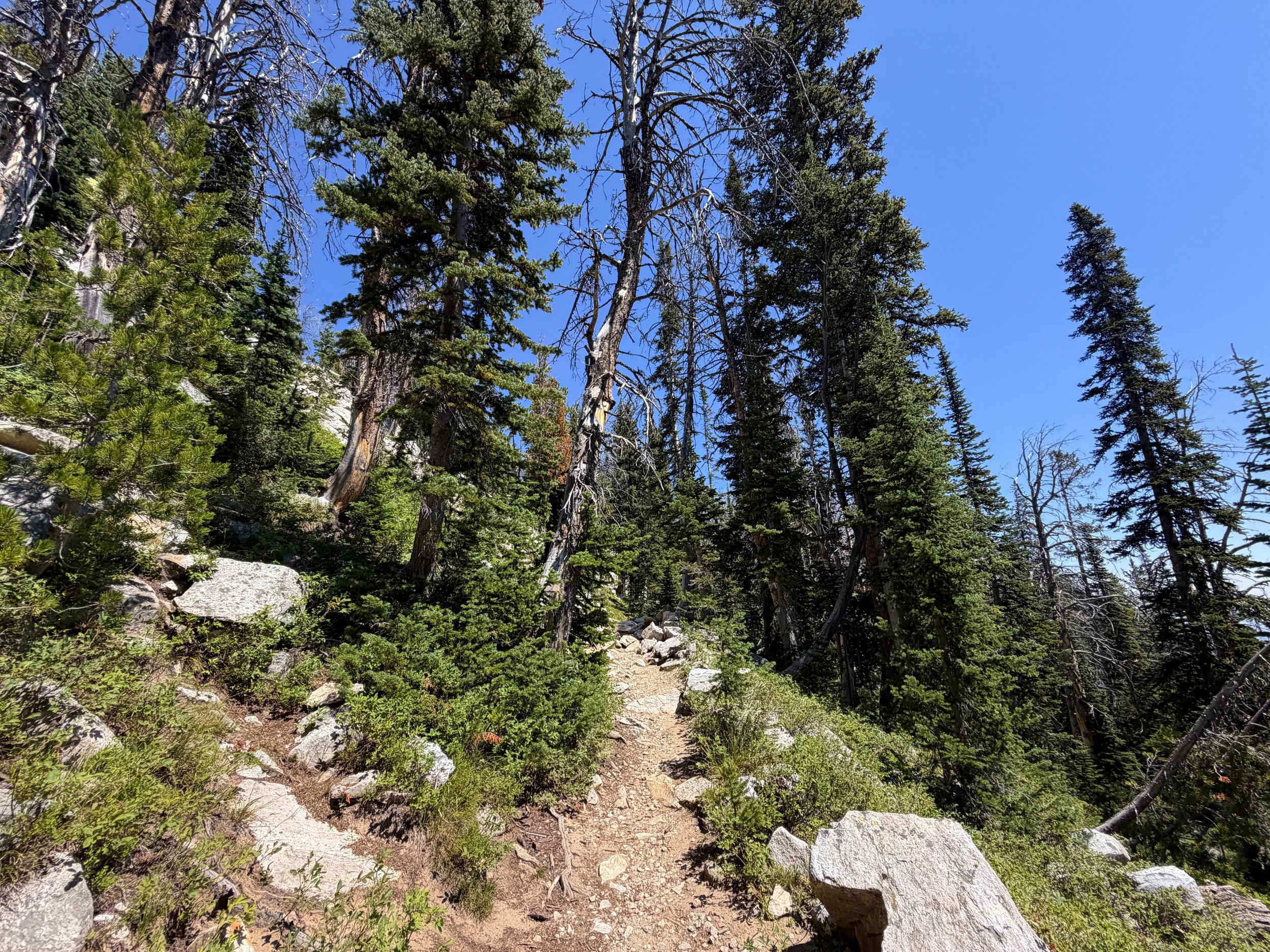 Surprise and Amphitheater Lakes Trail Grand Teton National Park Wyoming