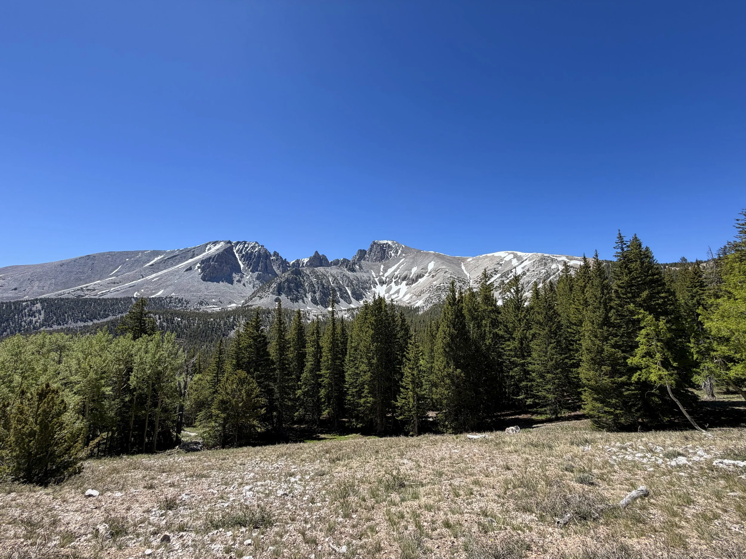 Wheeler Peak Summit Hike Great Basin National Park Nevada