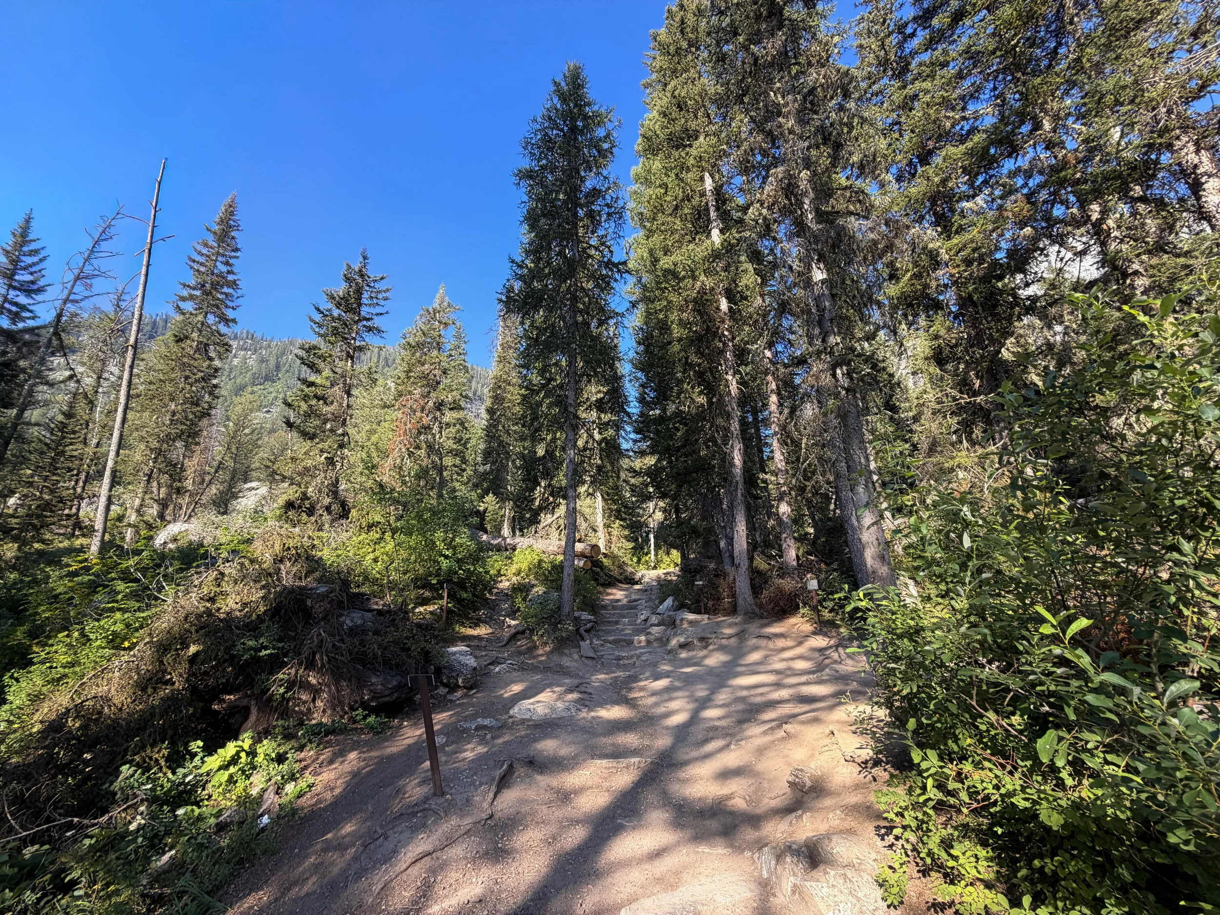 Jenny Lake Loop Trail to Hidden Falls Grand Teton National Park Wyoming