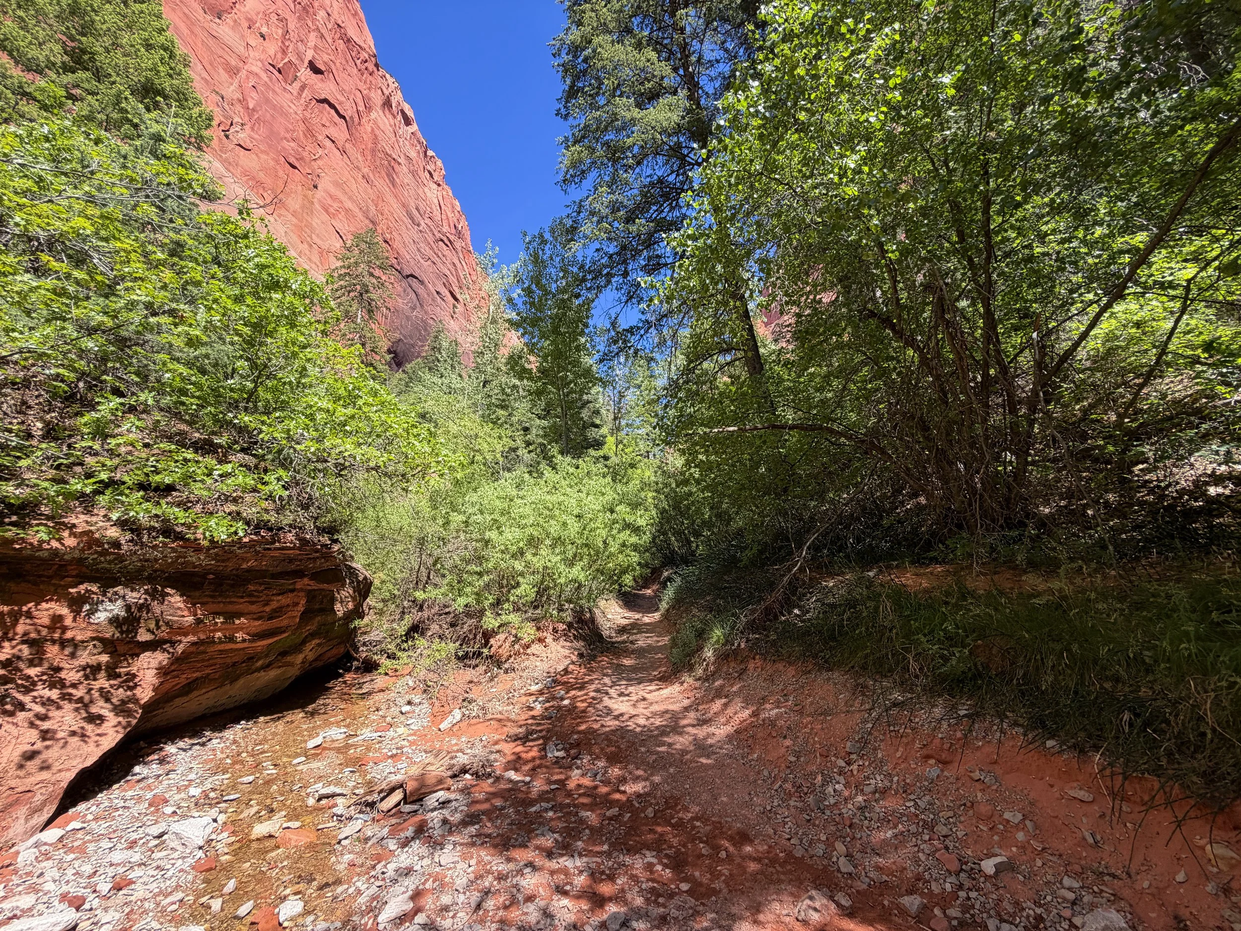 Middle Taylor Creek Trail Zion National Park Utah