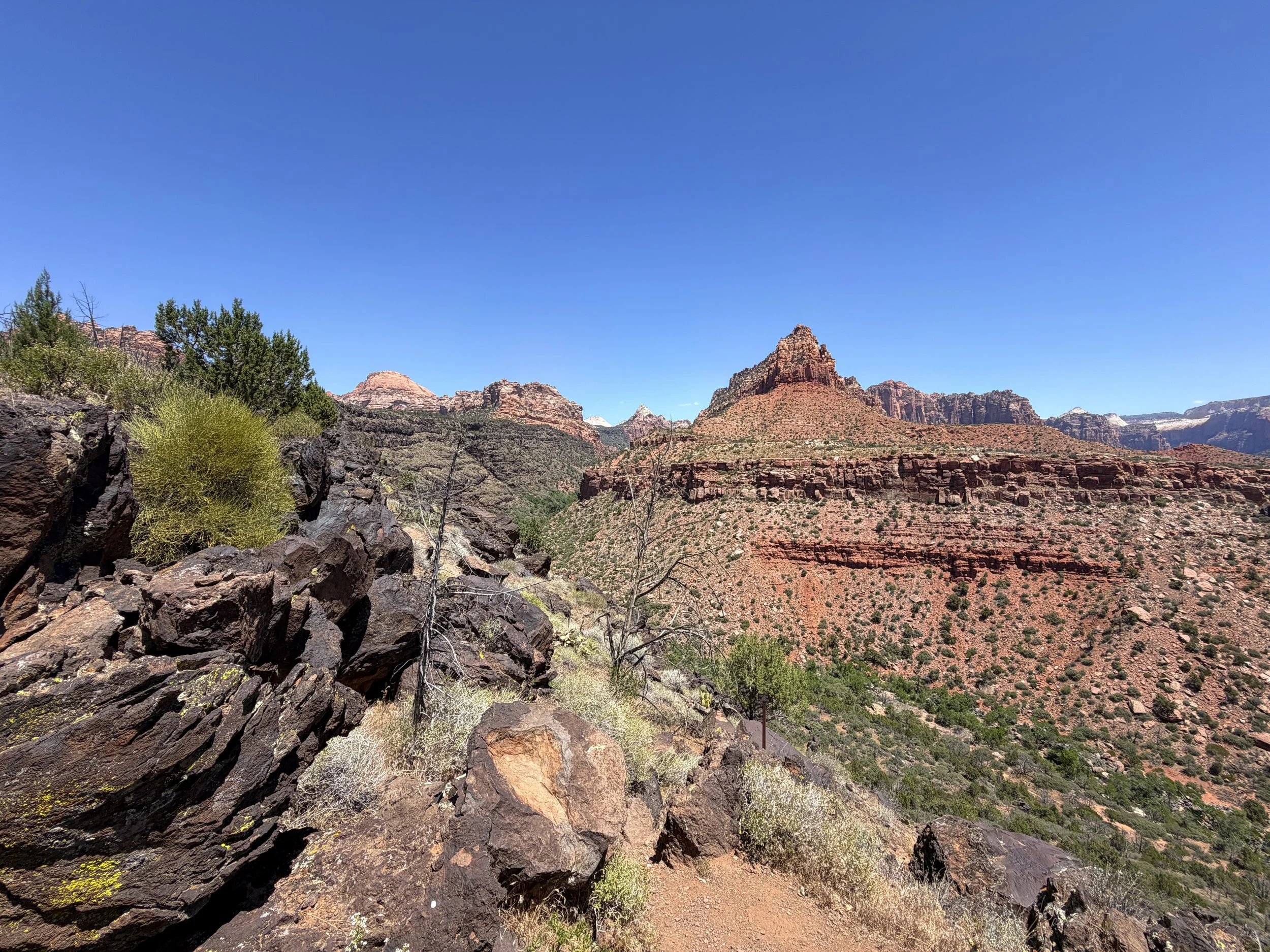 Grapevine Trail Zion National Park Utah