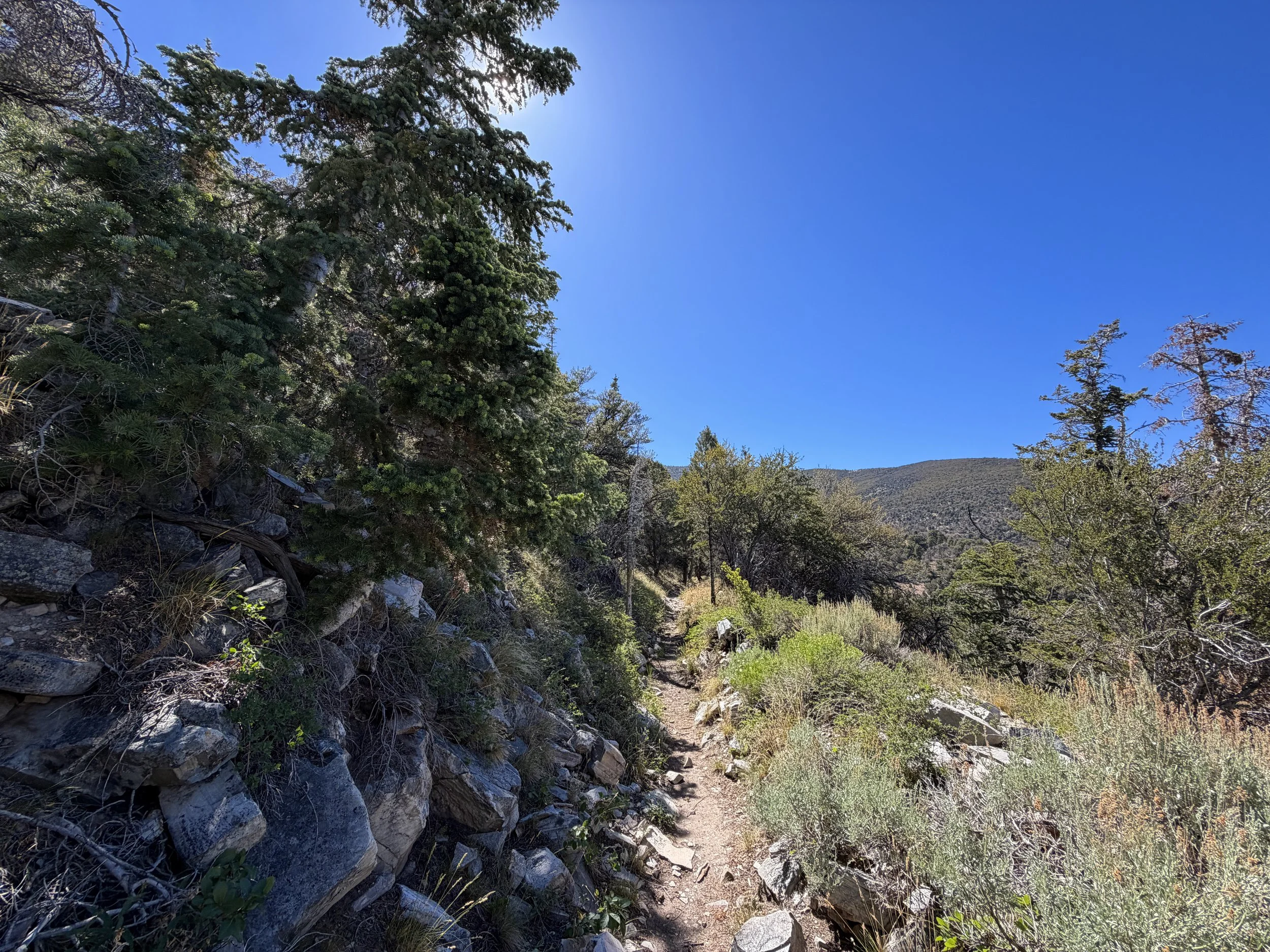 Osceola Ditch Hike Great Basin National Park Nevada