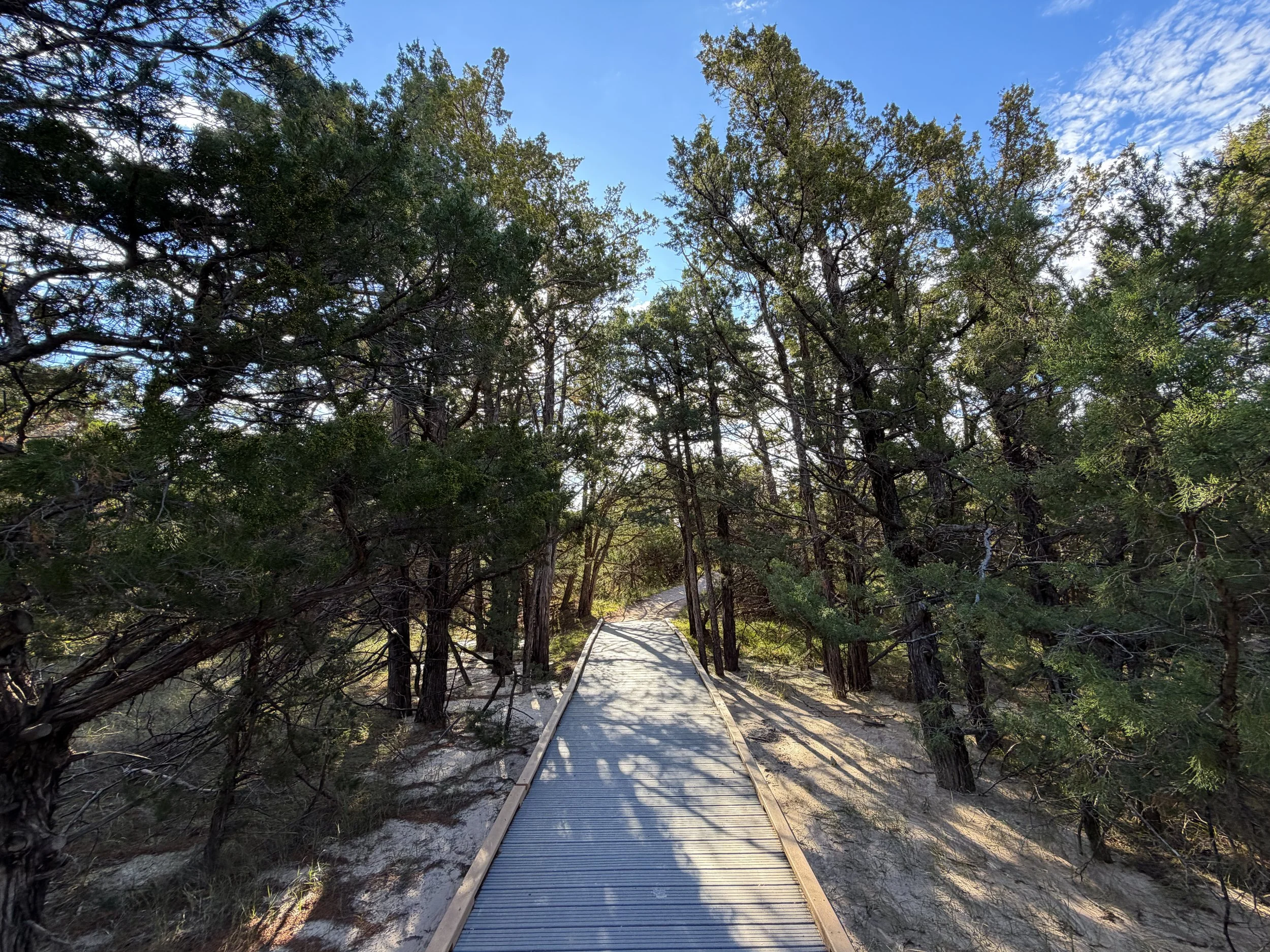 Cliff Shelf Nature Trail Badlands National Park South Dakota