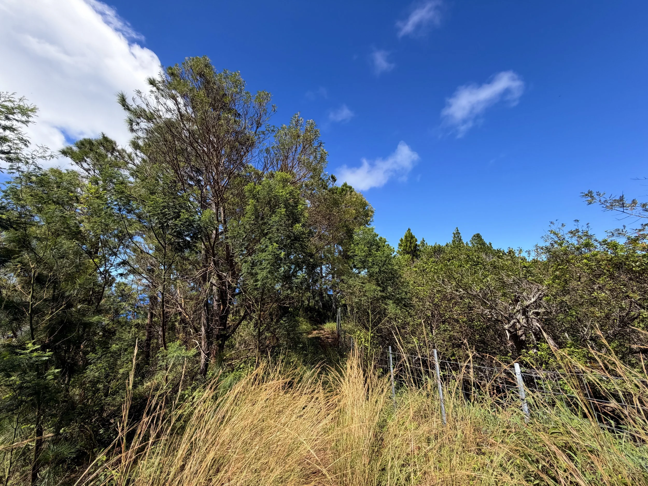 Kuaokala Hike Oahu Hawaii