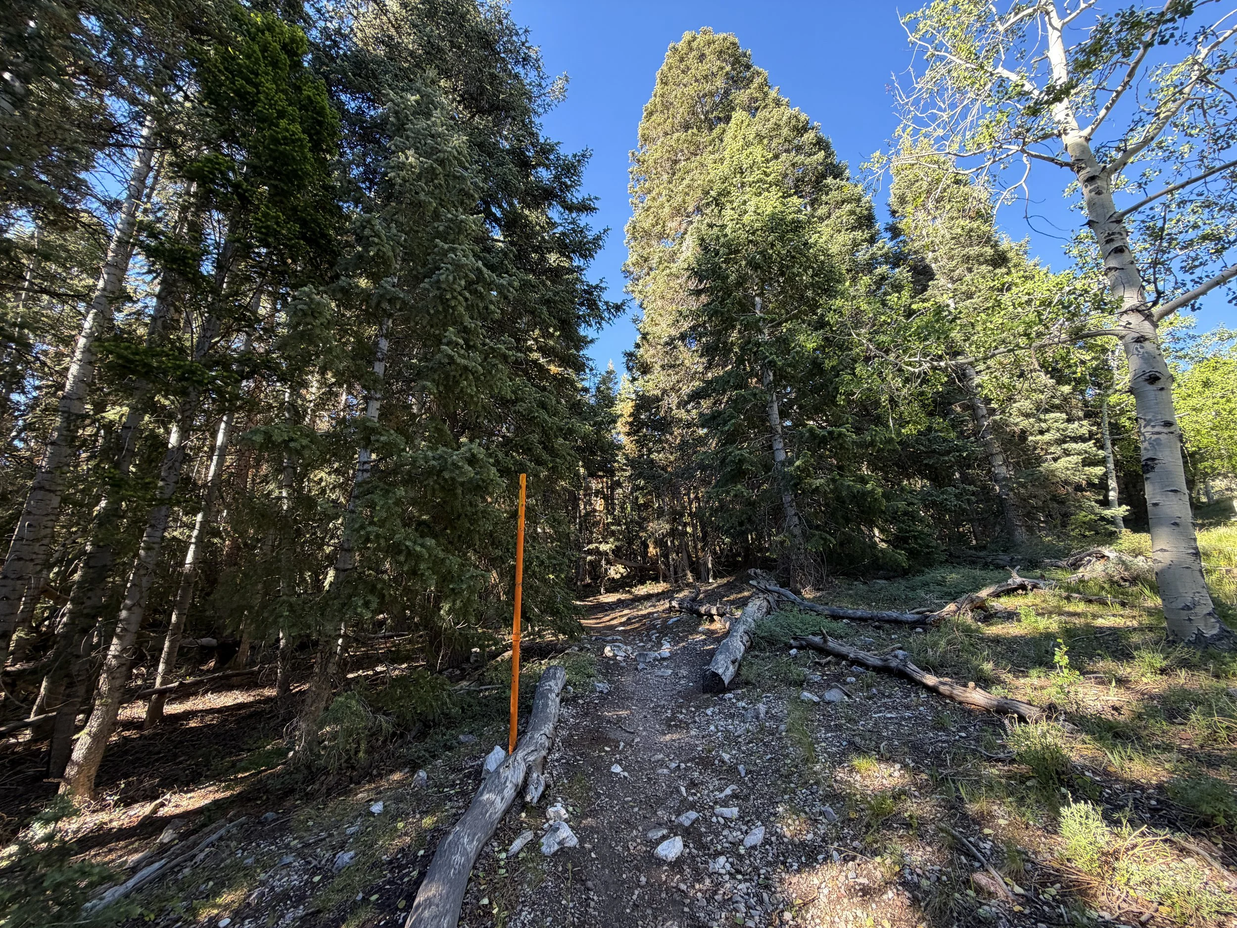 Baker Lake Trail Great Basin National Park Nevada