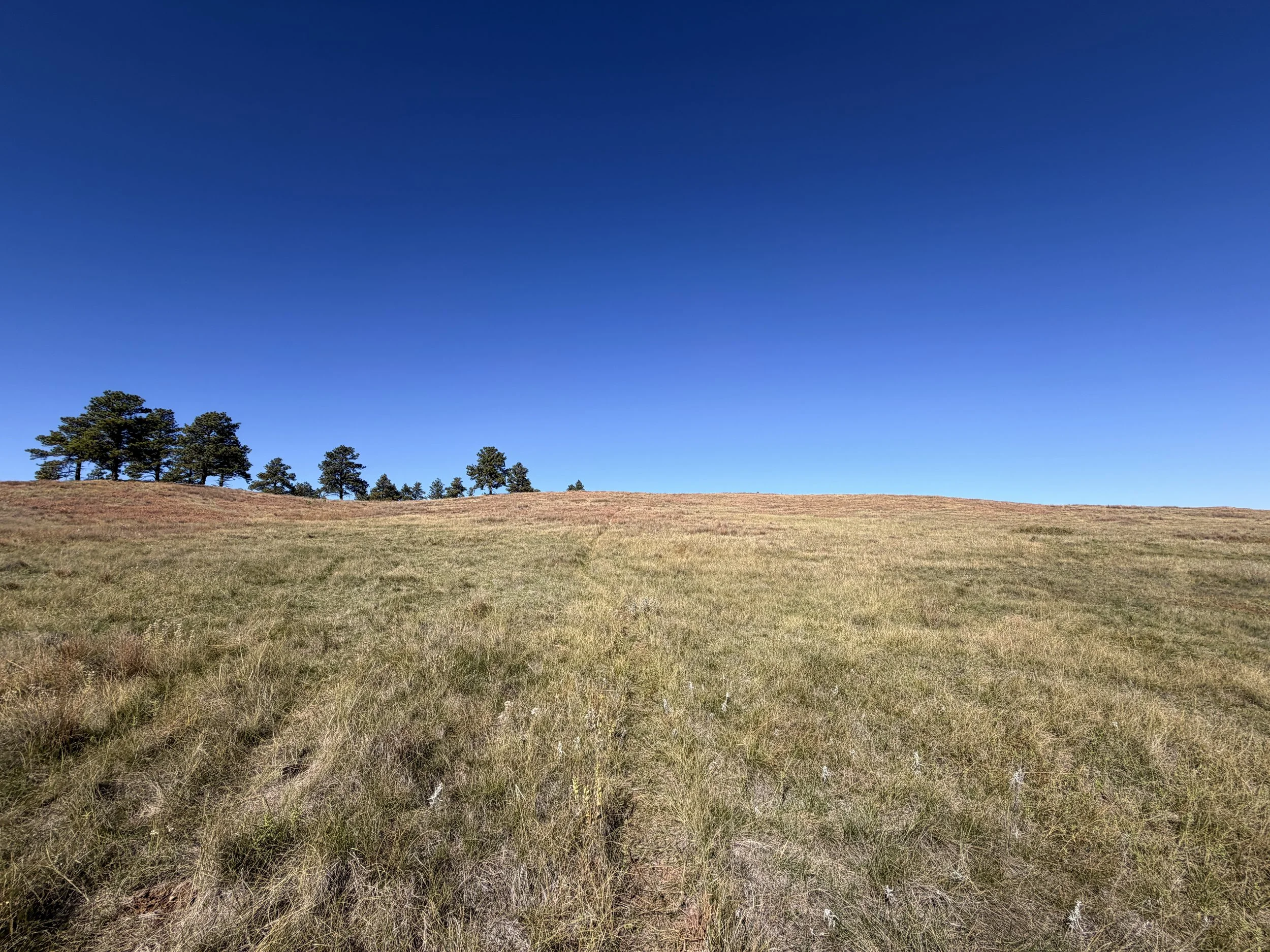 East Bison Flats Hike Wind Cave National Park South Dakota