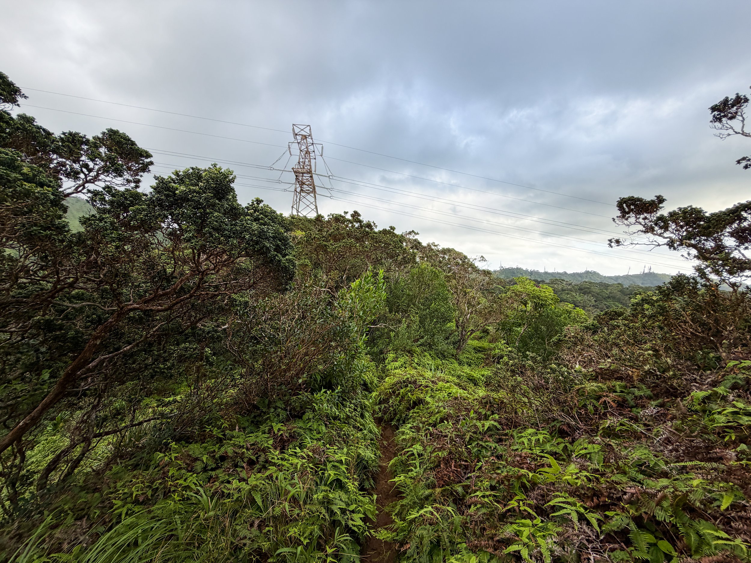 Kaau Crater Trail Oahu Hawaii