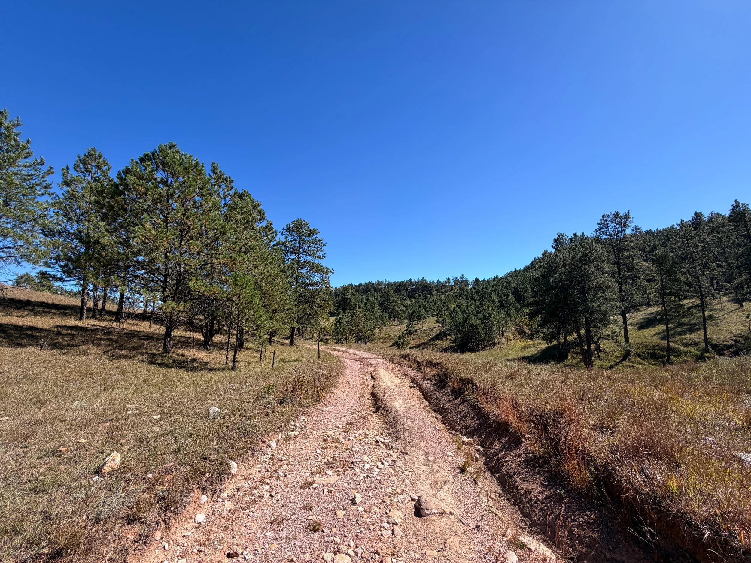 Wind Cave Canyon Trail Wind Cave National Park South Dakota