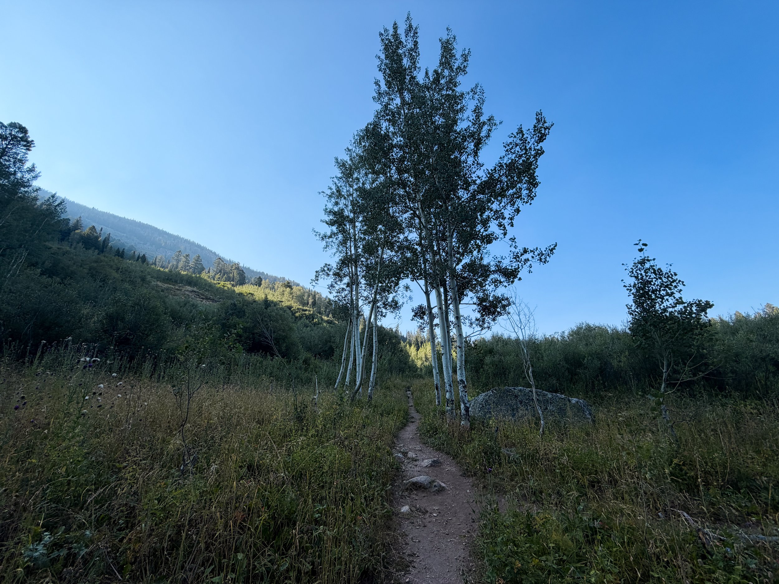 Moose Ponds Loop Hike Grand Teton National Park Wyoming
