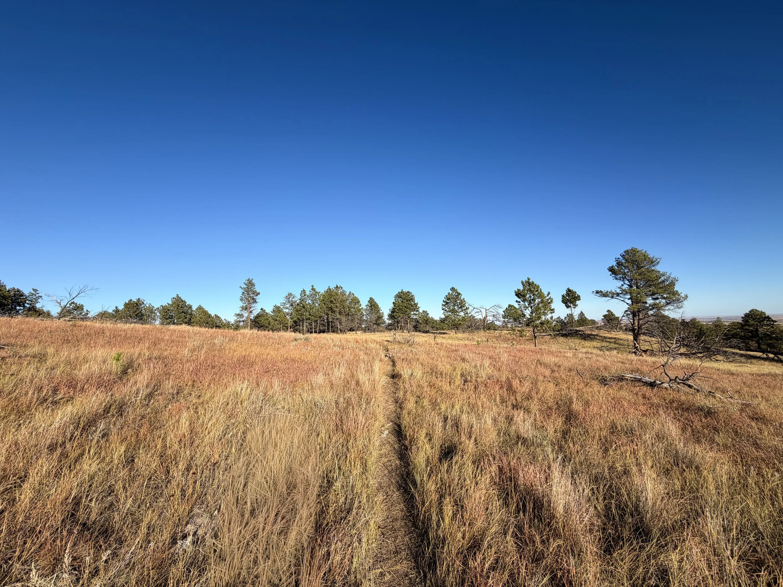 Boland Ridge Trail Wind Cave National Park South Dakota