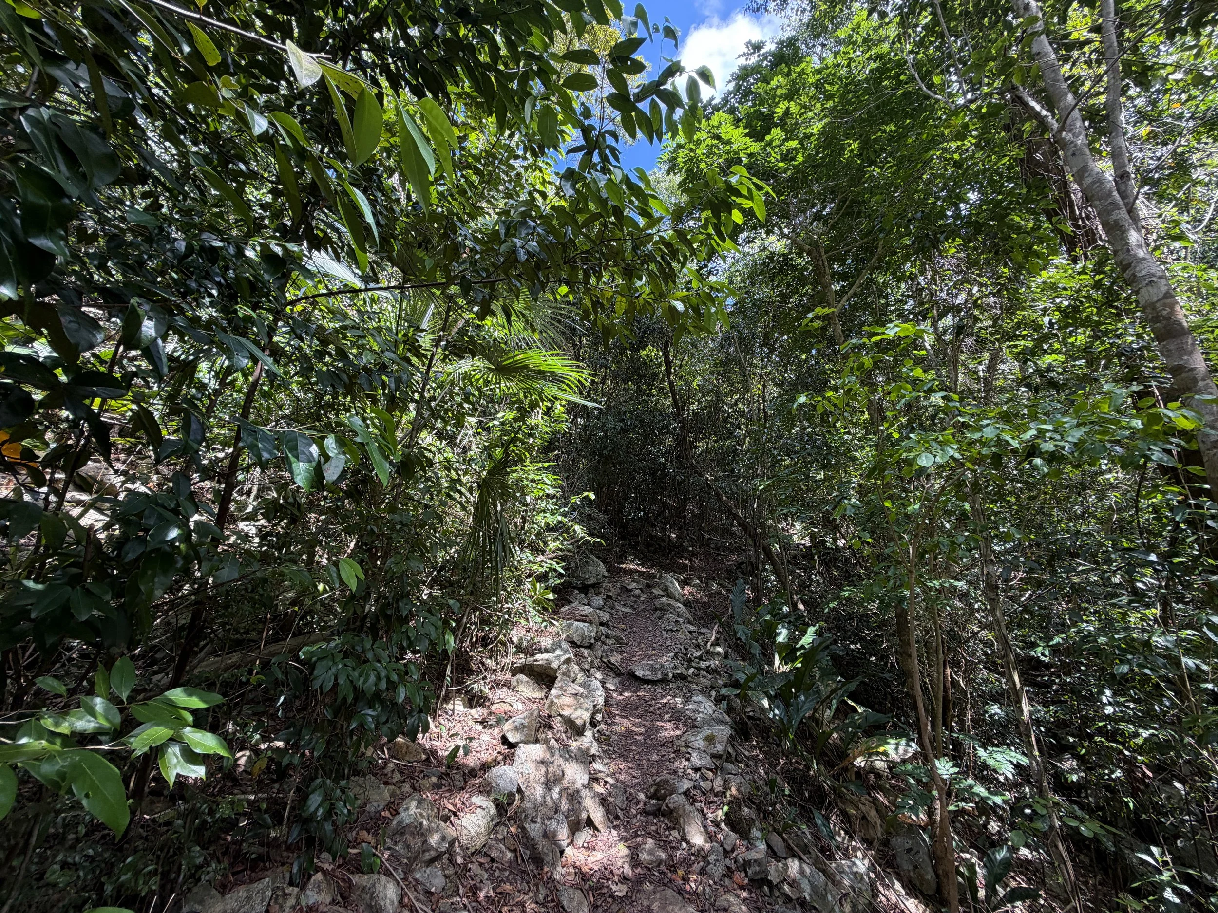 Cinnamon Bay Hike Virgin Islands National Park