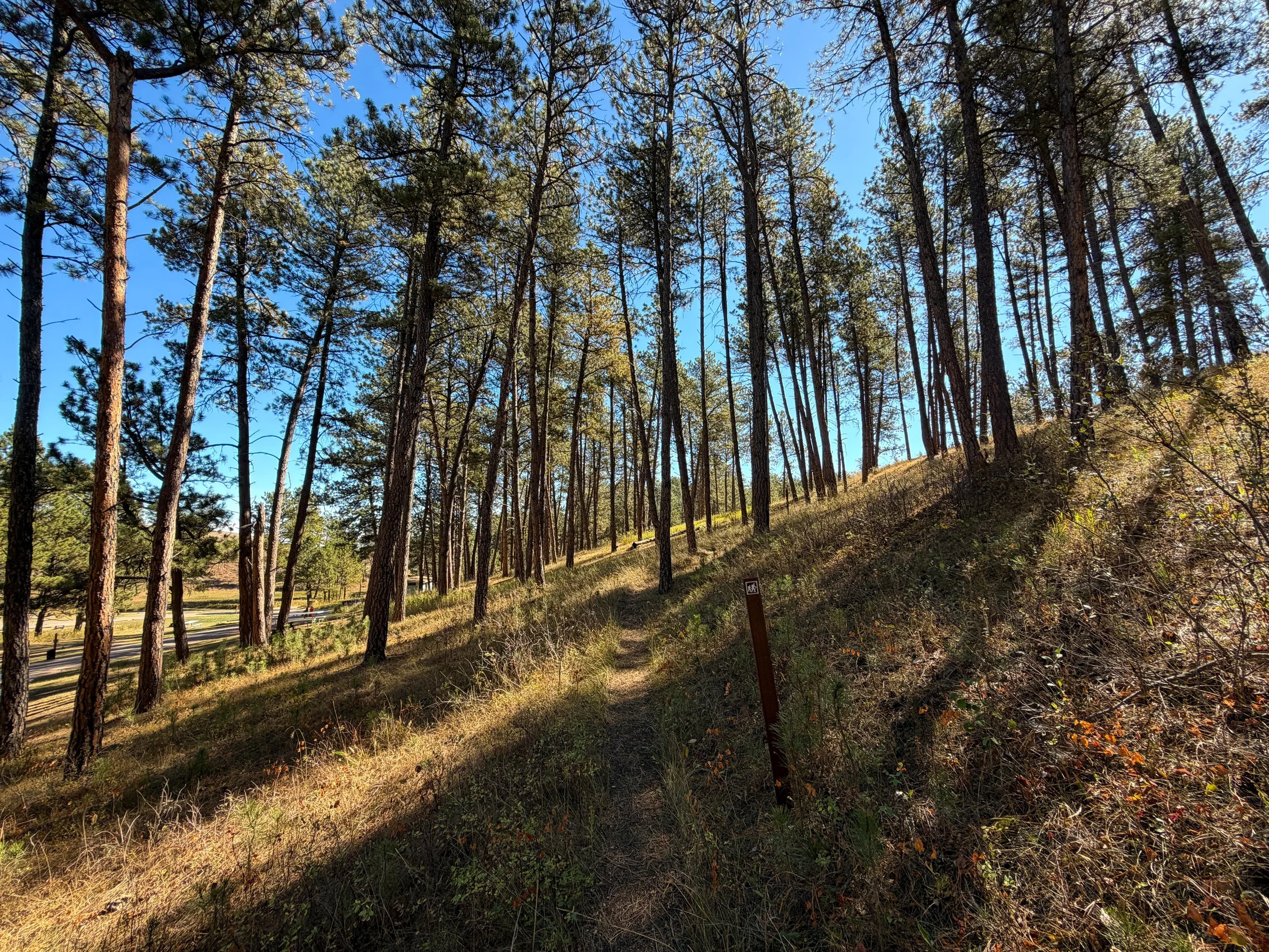Elk Mountain Nature Trail Wind Cave National Park South Dakota