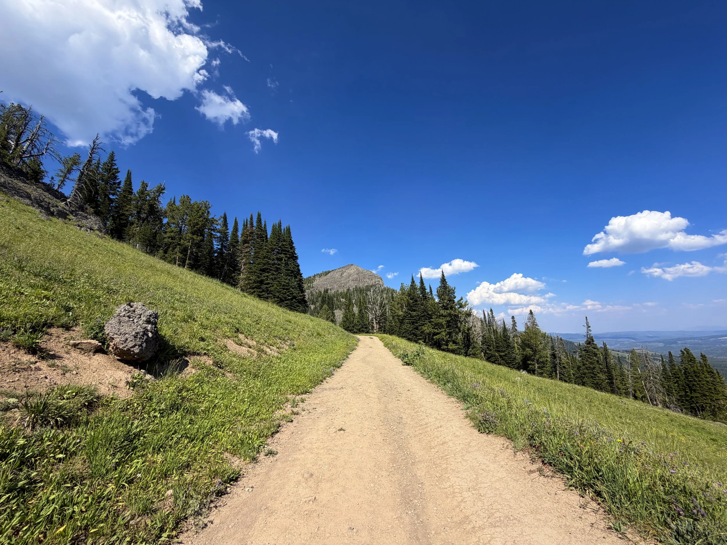 Mount Washburn Trail via Dunraven Pass Yellowstone National Park Wyoming