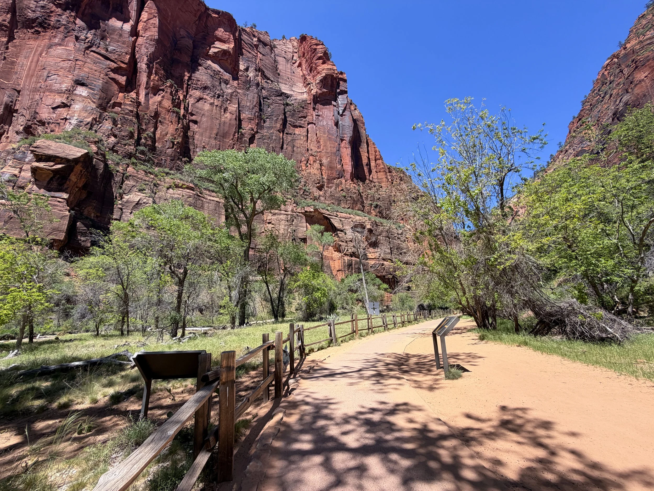 Riverside Walk Zion National Park Utah