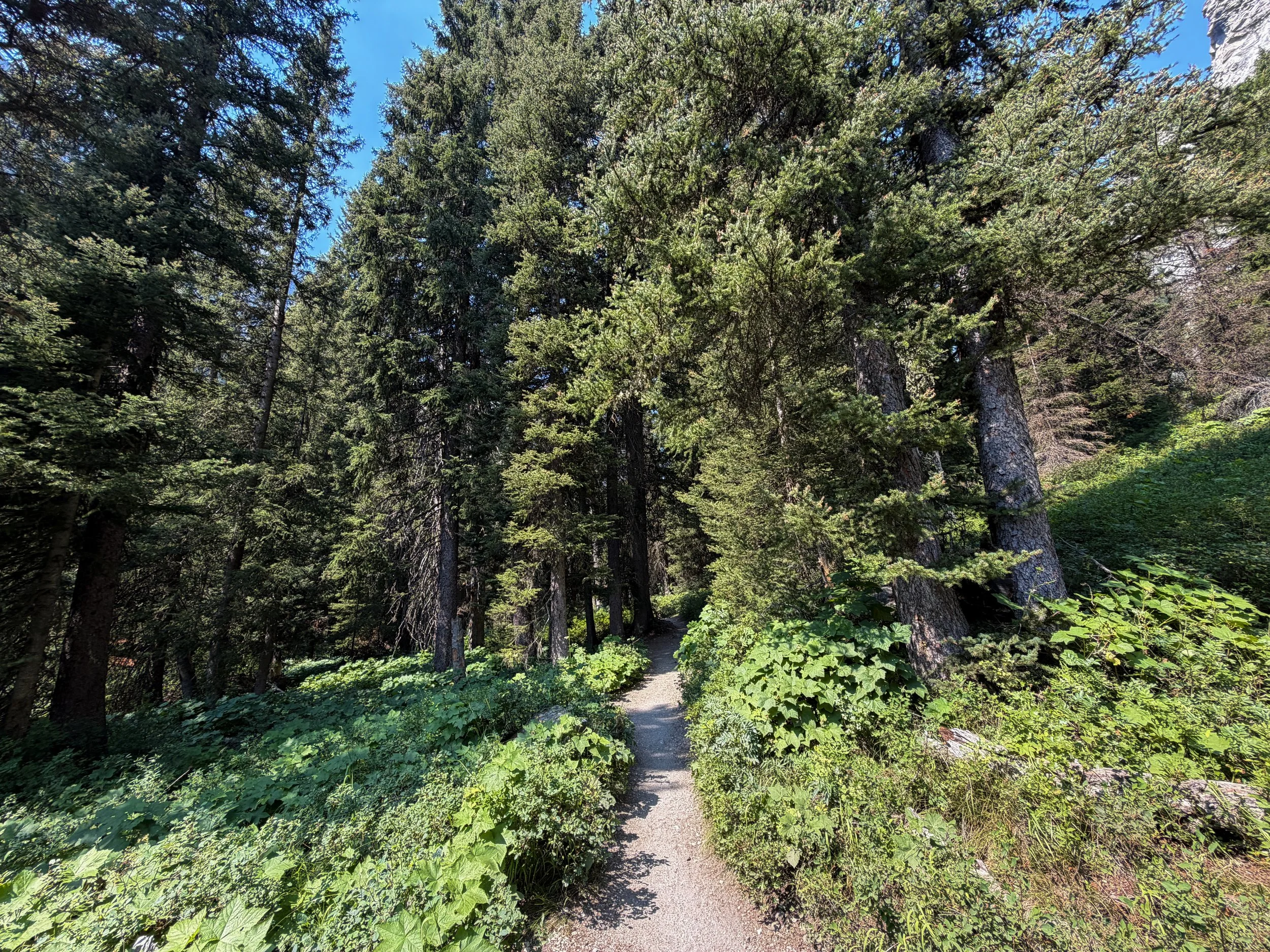 Cascade Canyon Trail via Inspiration Point Grand Teton National Park Wyoming