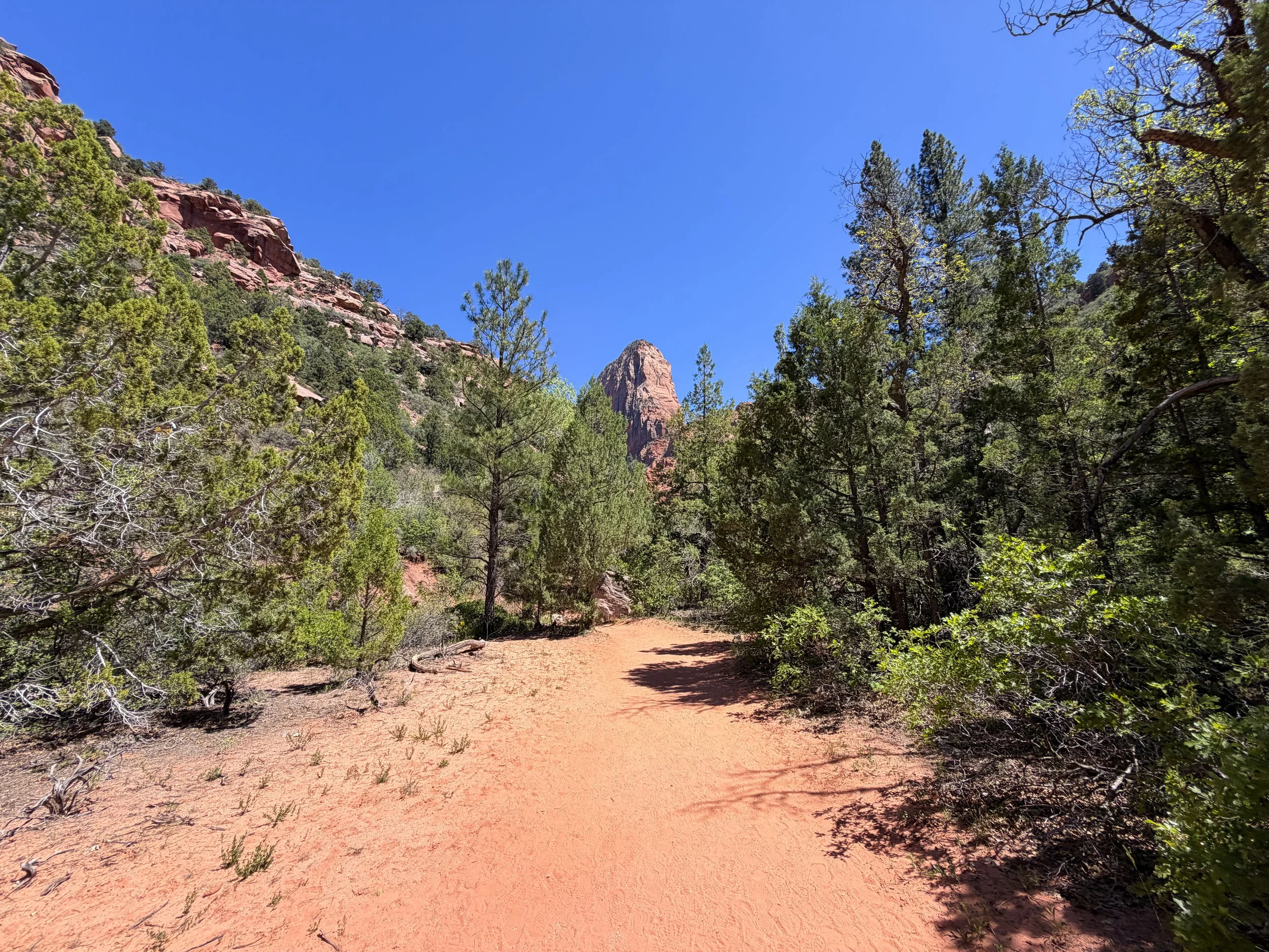 Middle Taylor Creek Hike Zion National Park Utah