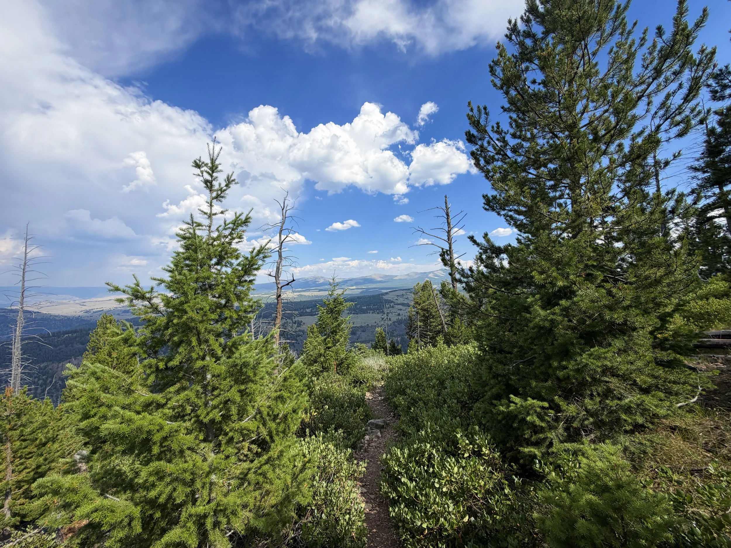 Bunsen Peak Hike Yellowstone National Park Wyoming