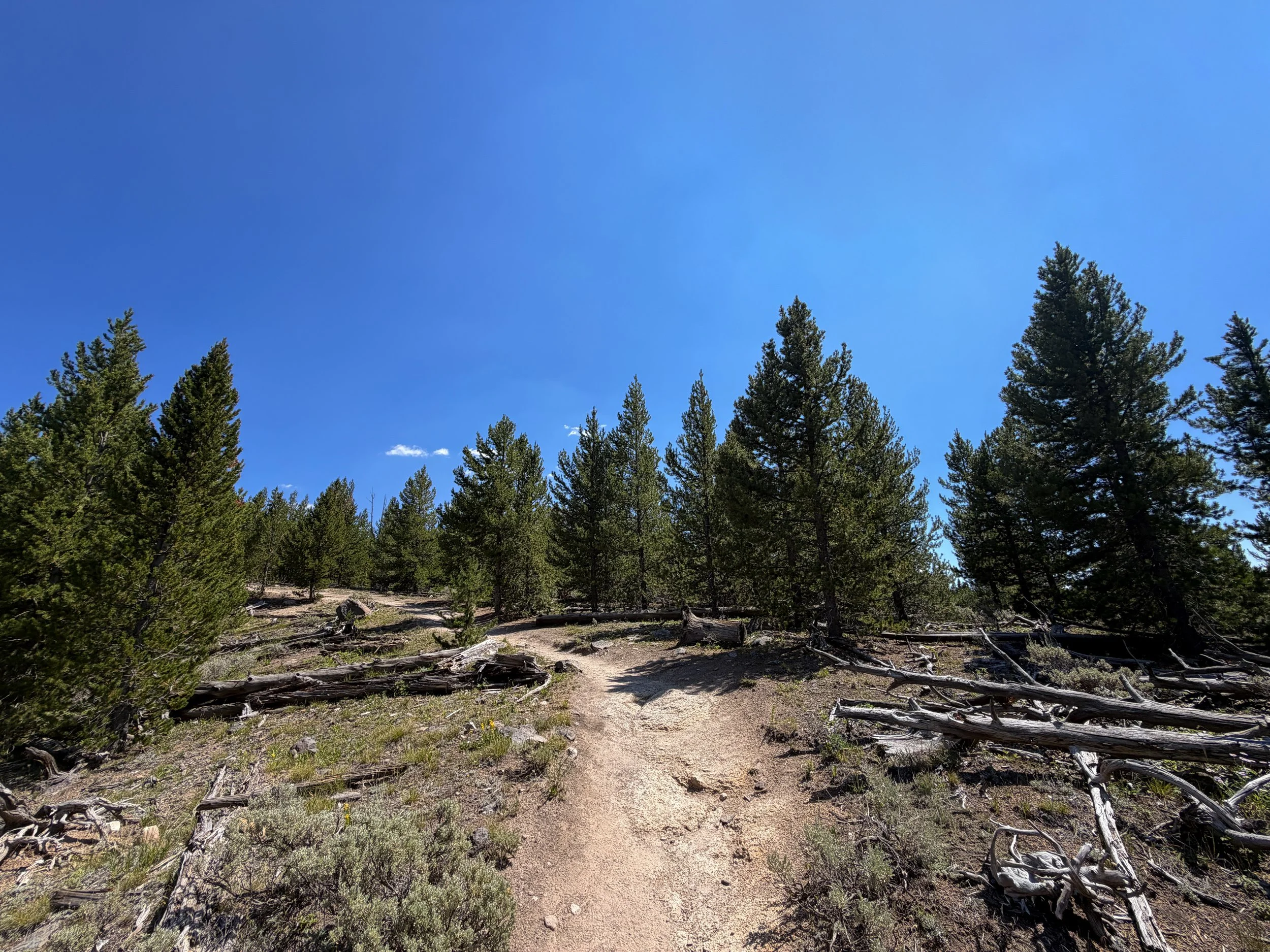 Bunsen Peak Trail Yellowstone National Park Wyoming
