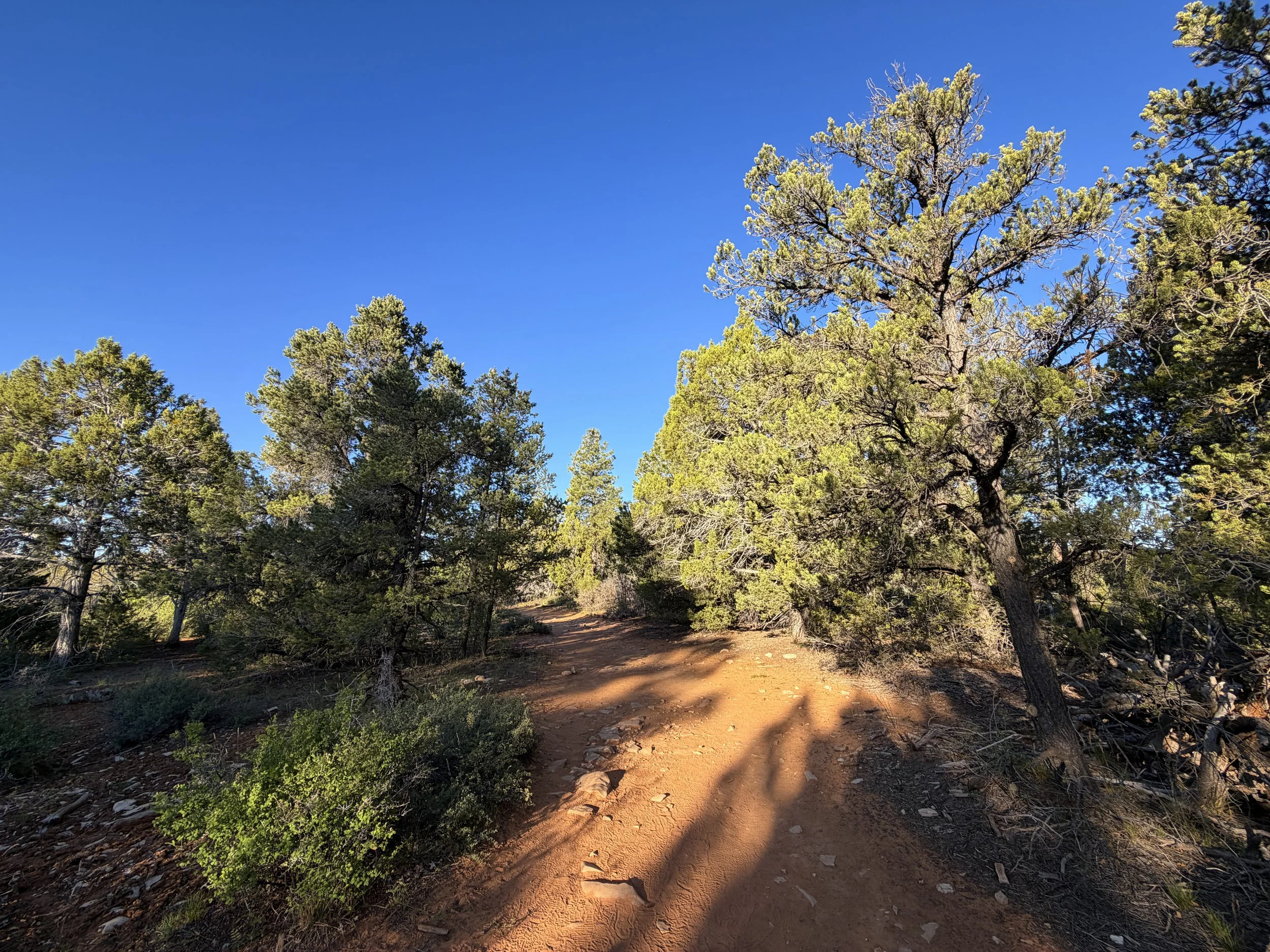 East Mesa Trail to Observation Point Zion National Park Utah