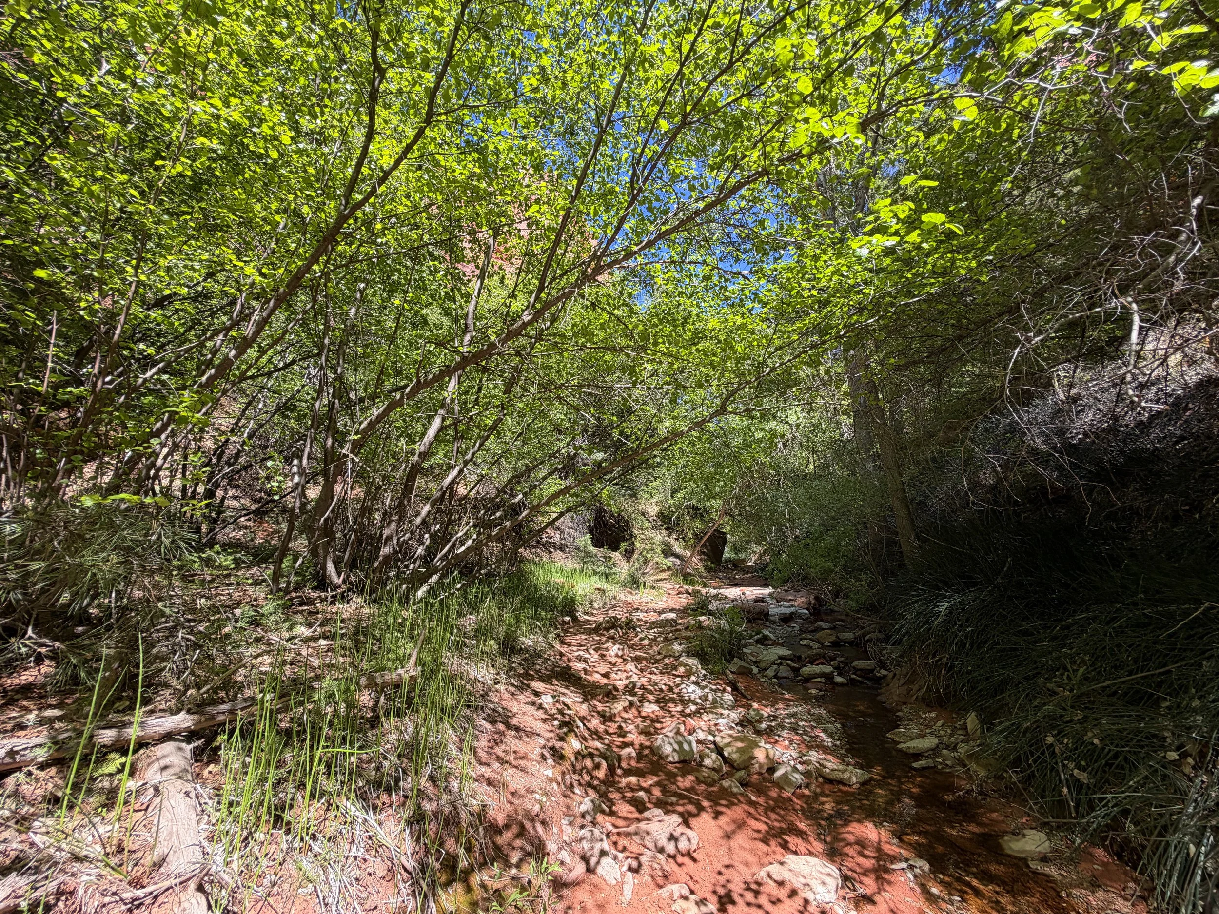 Taylor Creek Trail Zion National Park Utah