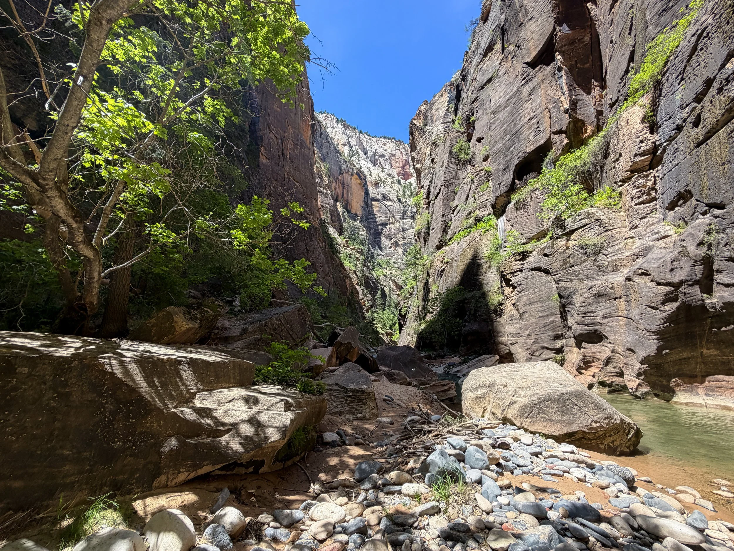 The Narrows Hike Zion National Park Utah