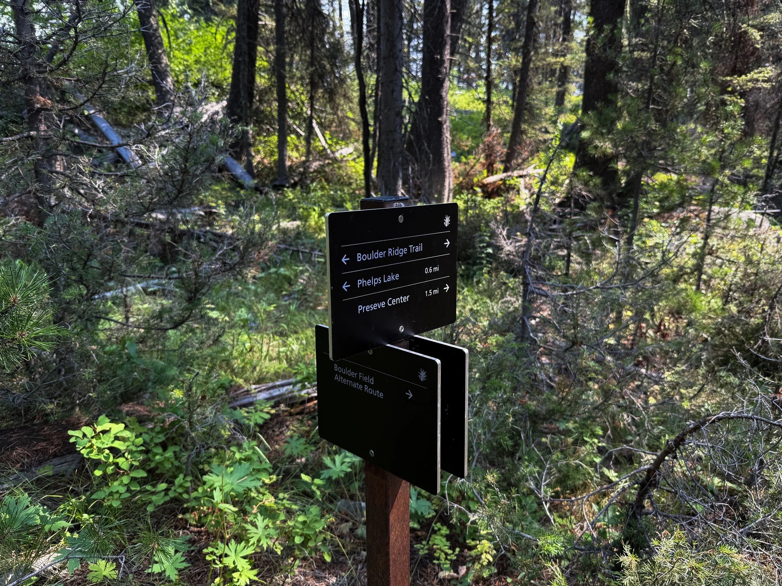 Boulder Ridge Loop Trail Grand Teton National Park Wyoming