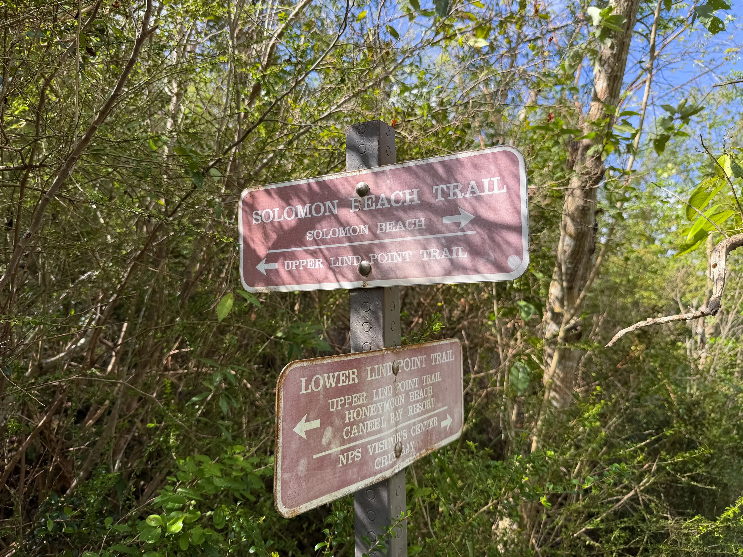 Lind Point Loop Trail Virgin Islands National Park