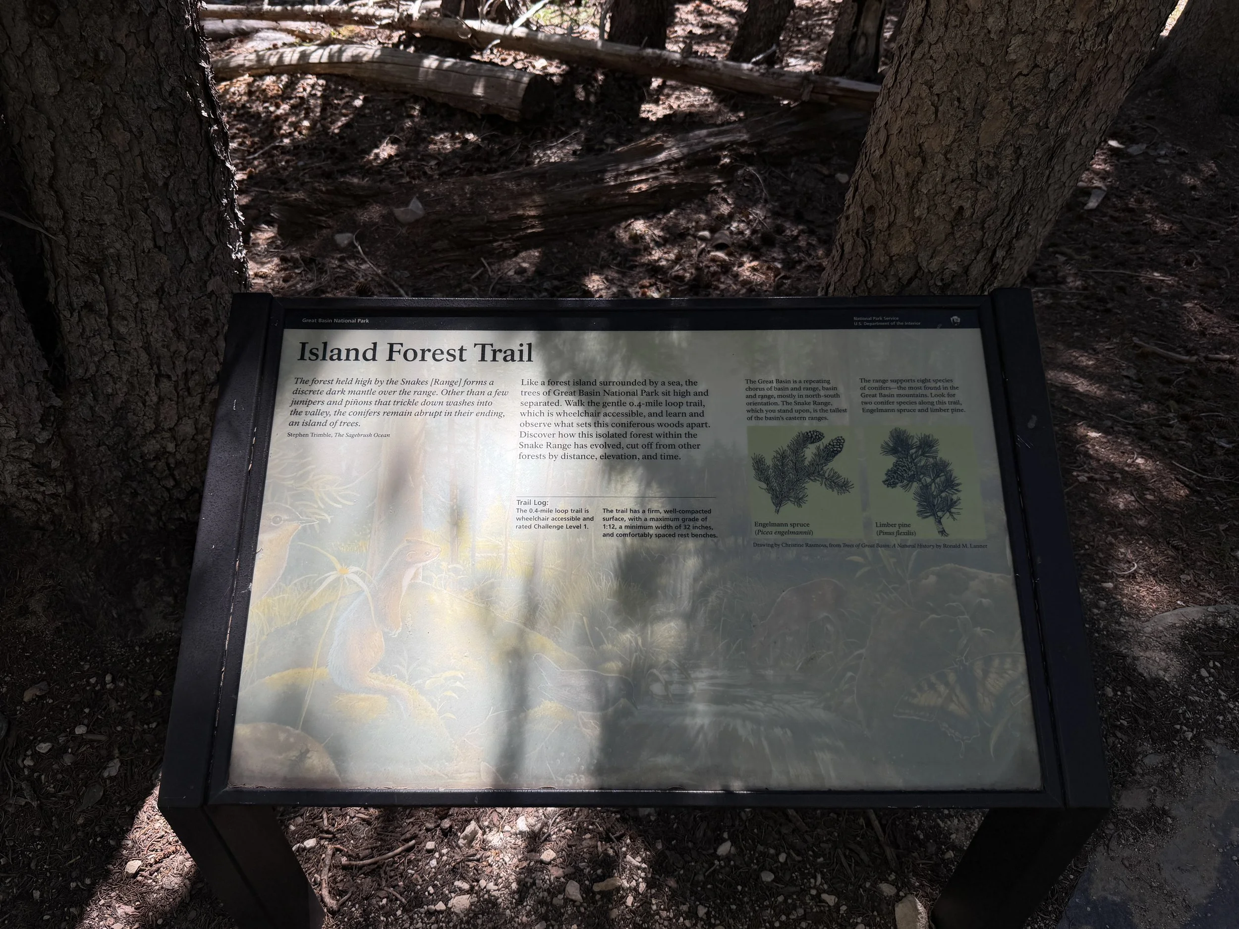 Alpine Lakes Loop Trail Great Basin National Park Nevada