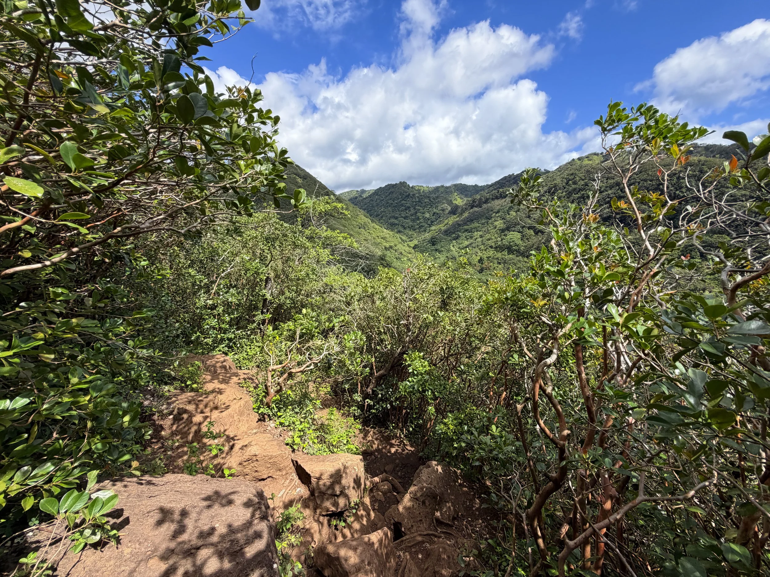 Waimano Pools Hike Oahu Hawaii