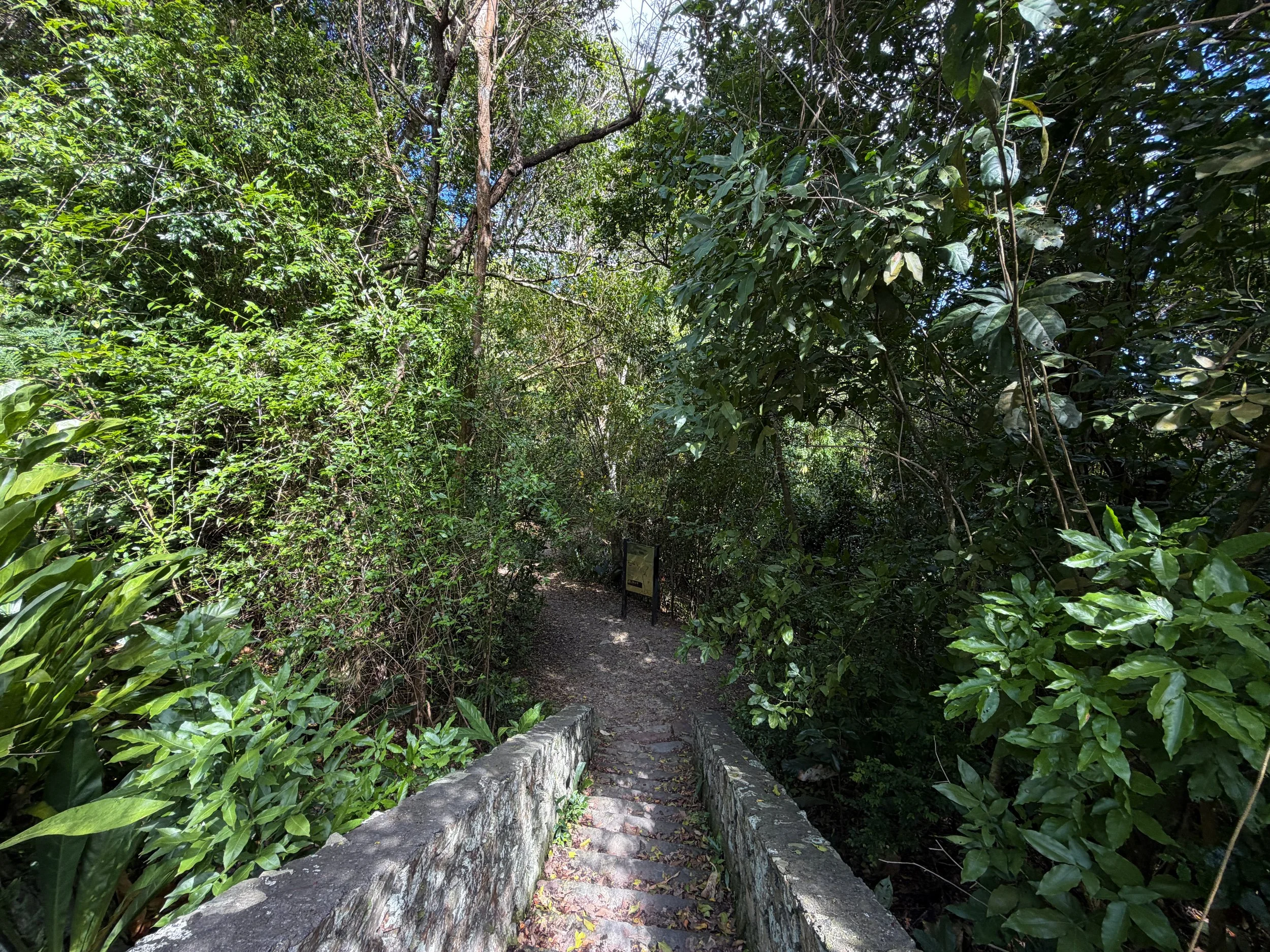 Reef Bay Trailhead Virgin Islands National Park