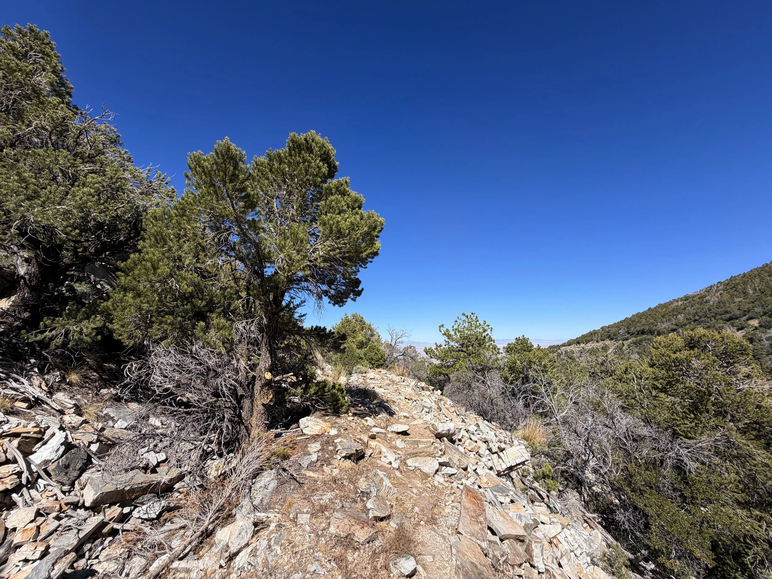 Osceola Ditch Trail Great Basin National Park Nevada