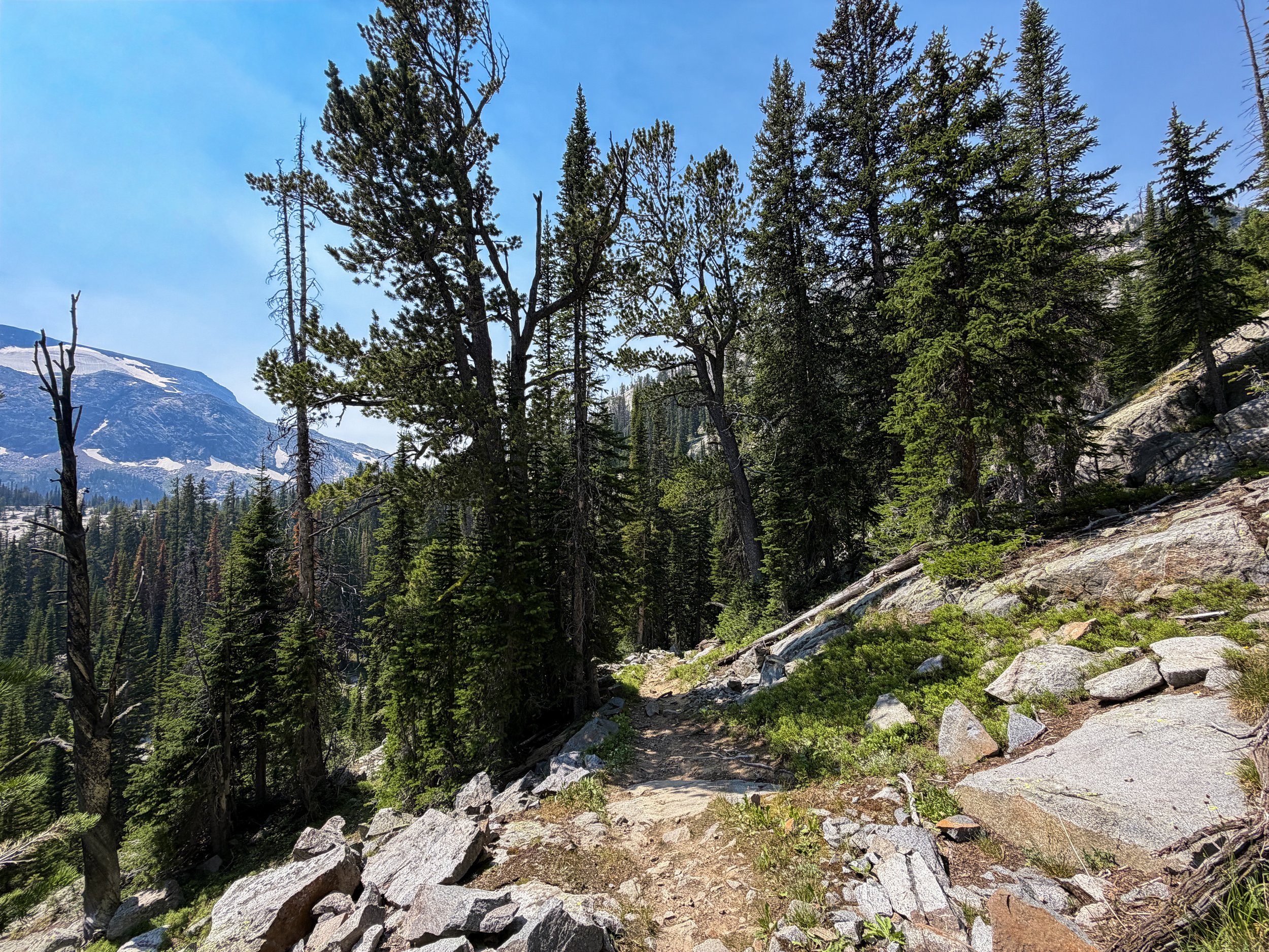 The Beaten Path Trail Beartooth Mountains Montana
